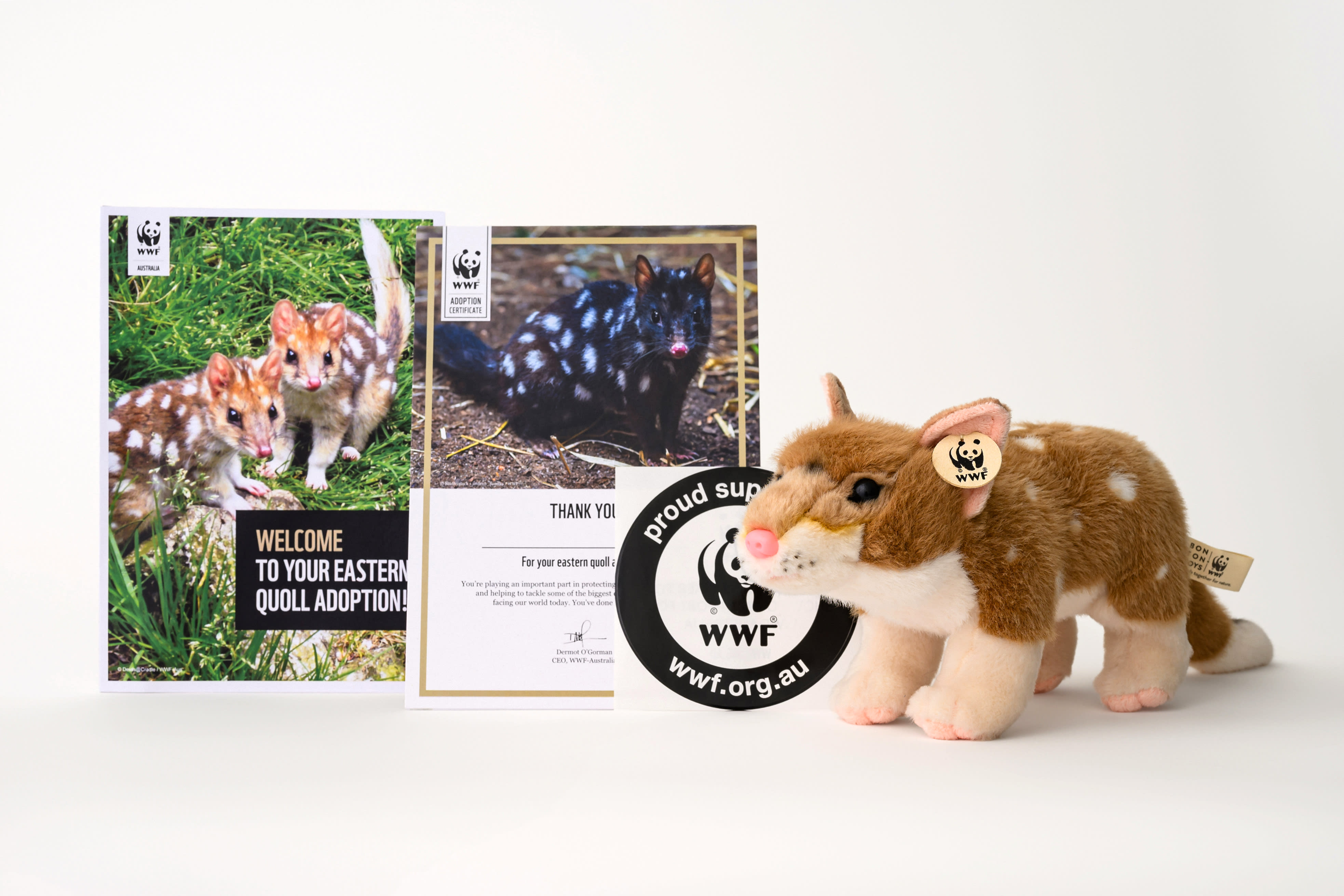 image of an eastern quoll plush toy with booklet and certificate from a WWF-Australia astern quoll adoption pack.
