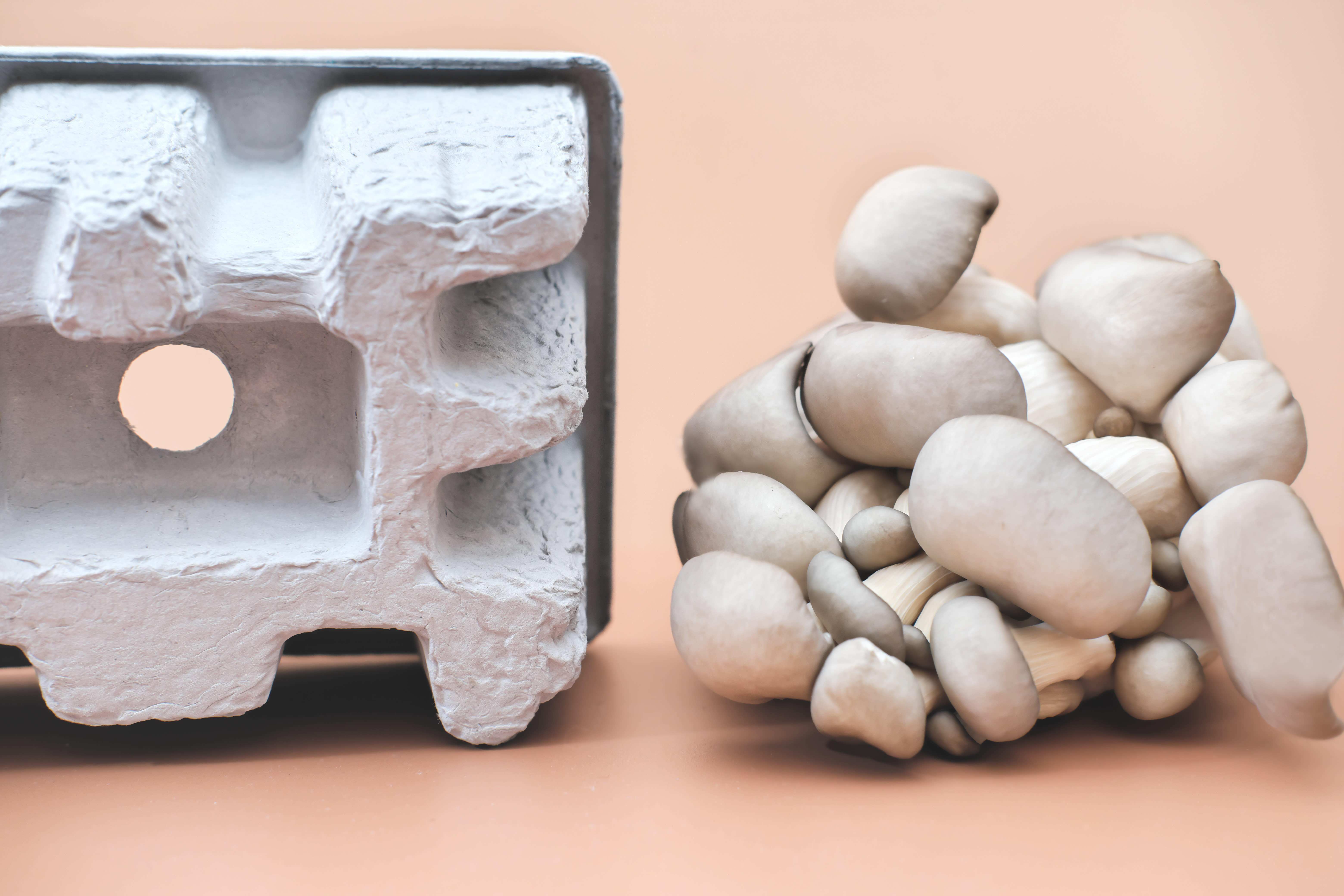 img_mushroom_packaging