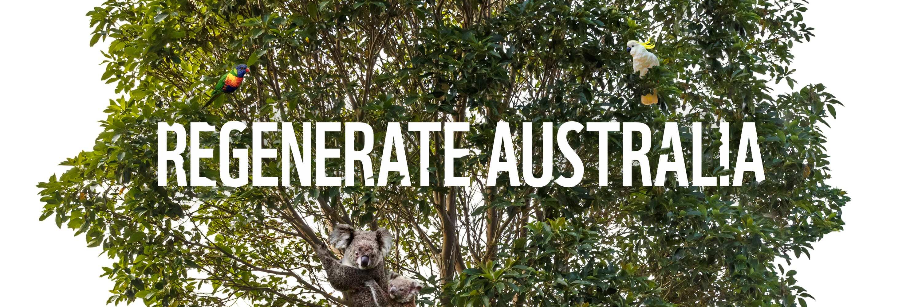 Regenerate Australia campaign image