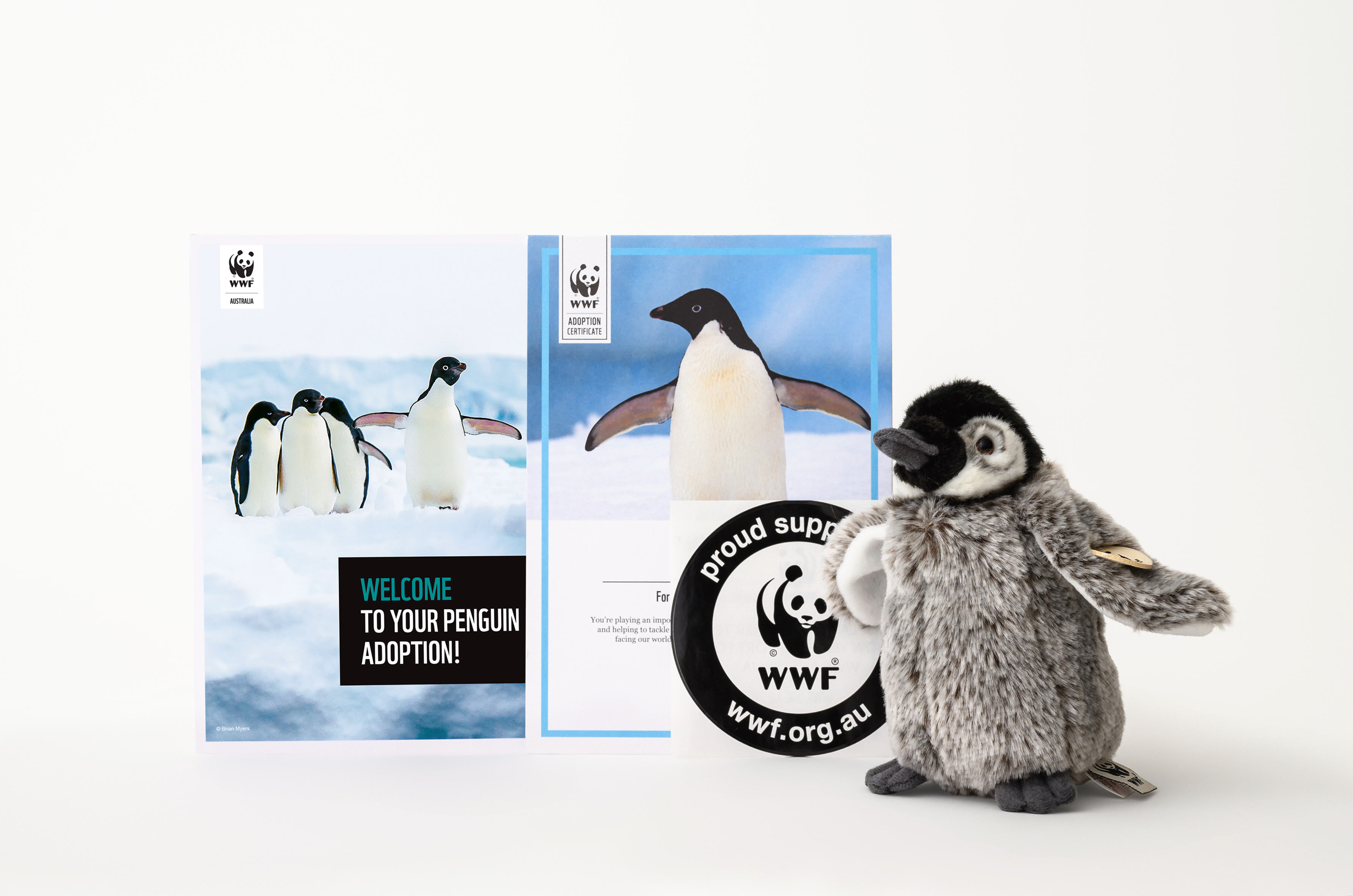 Contents of penguin adoption pack, including penguin plushie, adoption certificate and penguin booklet