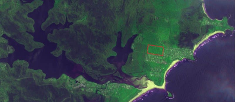 A satellite image from 10 January 2020 shows the unburnt 20-hectare block in Manyana surrounded by scorched bush
