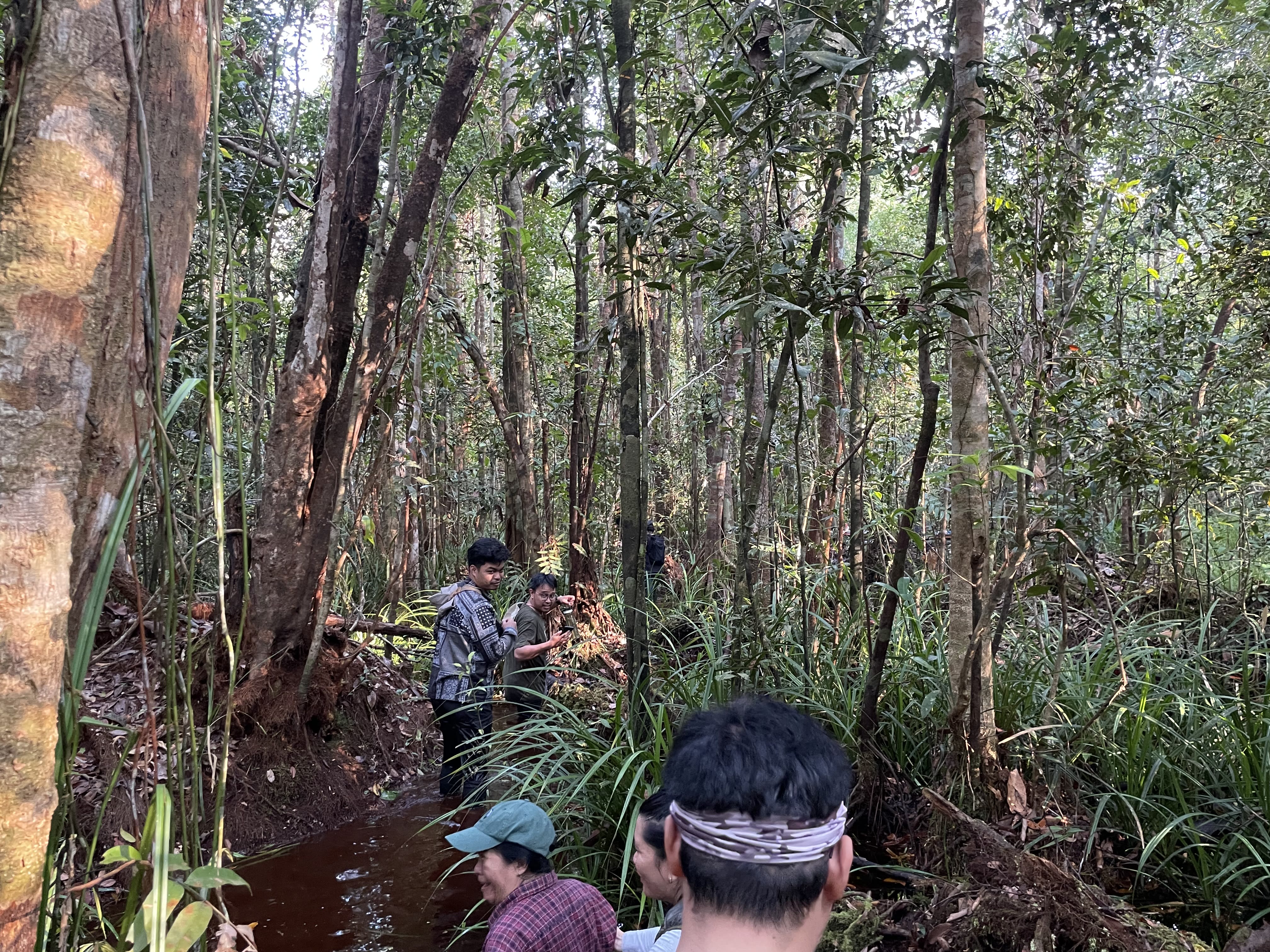 A group of people walks through a muddy forest.
