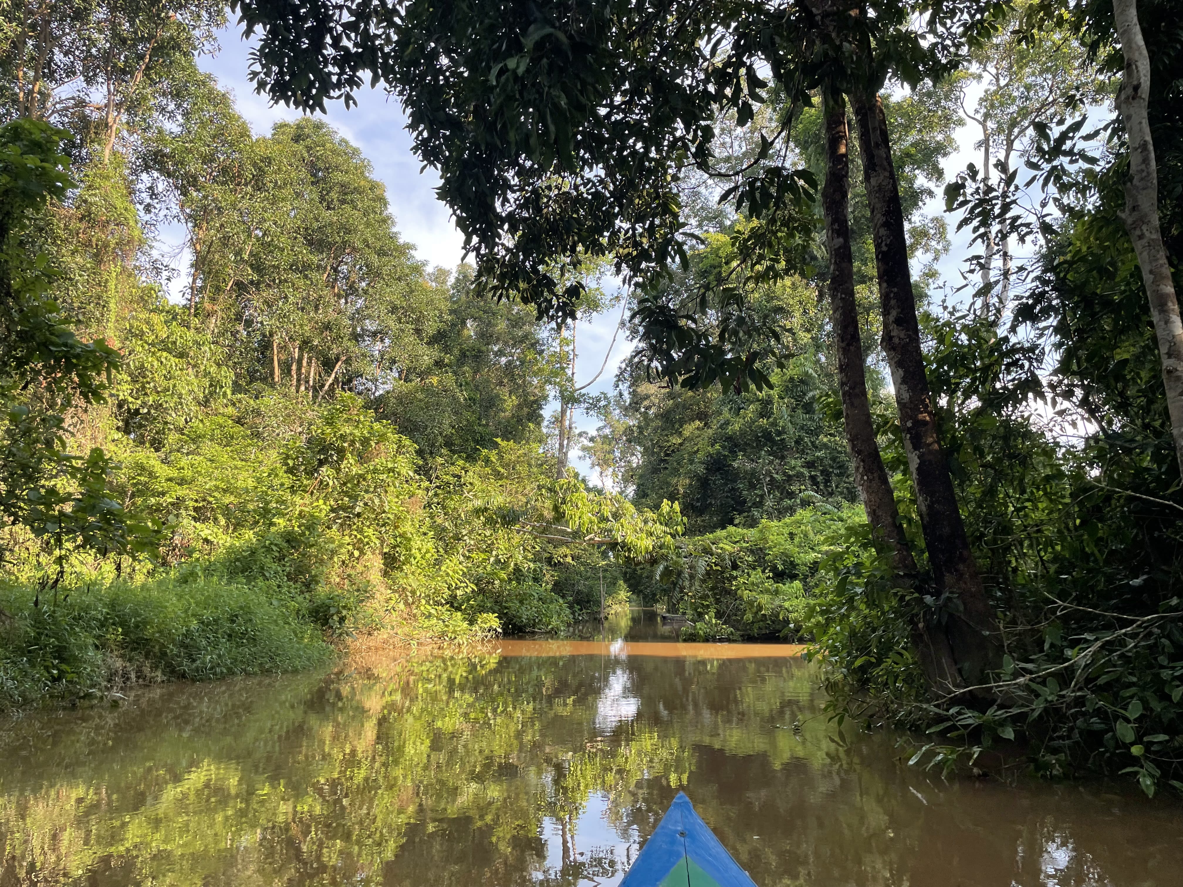 The tip of a canoe is seen travelling through a brown river in rainforest, Sebangau National Park