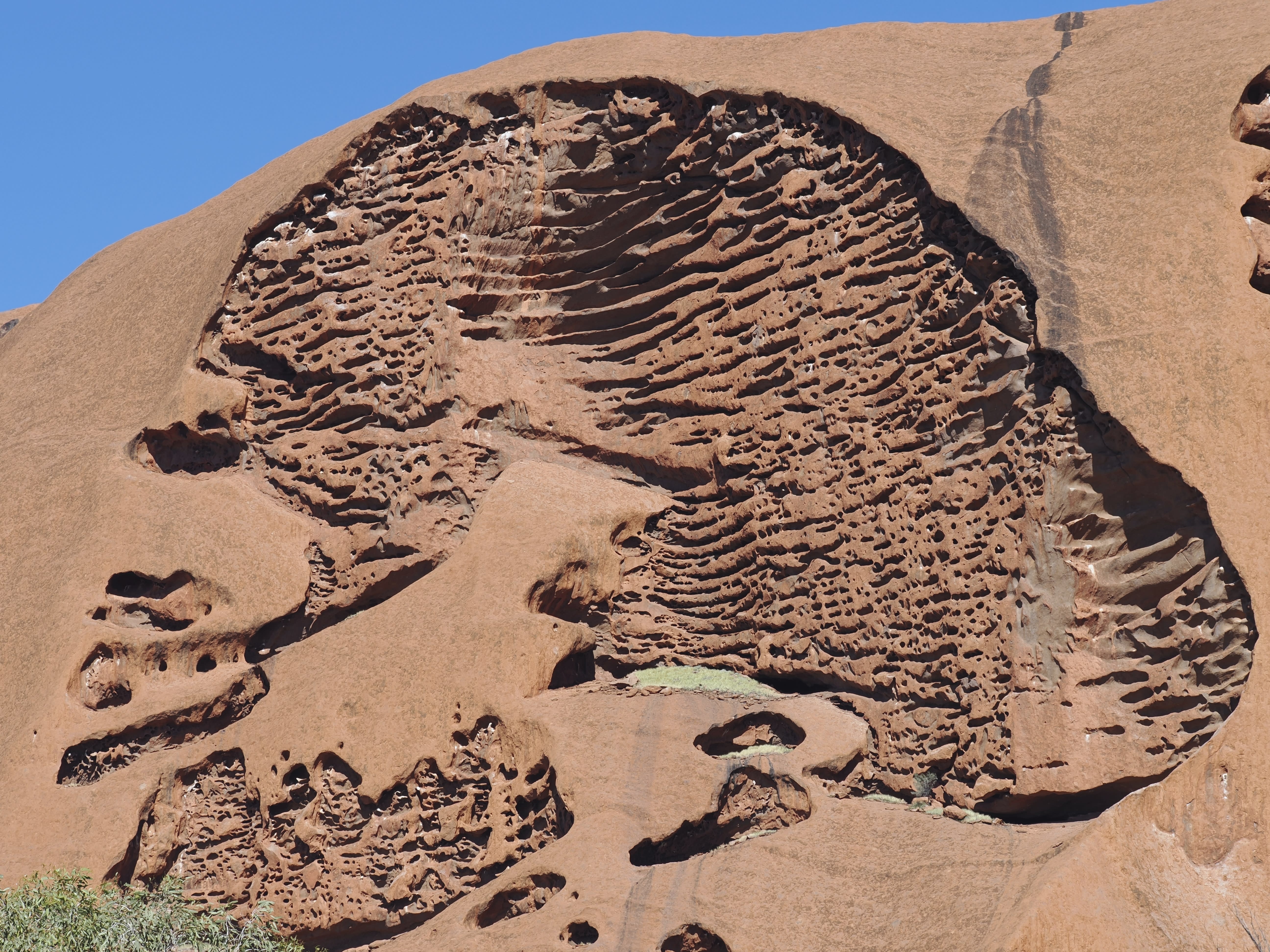 img2_Uluru_Brendens_blog_Larapinta