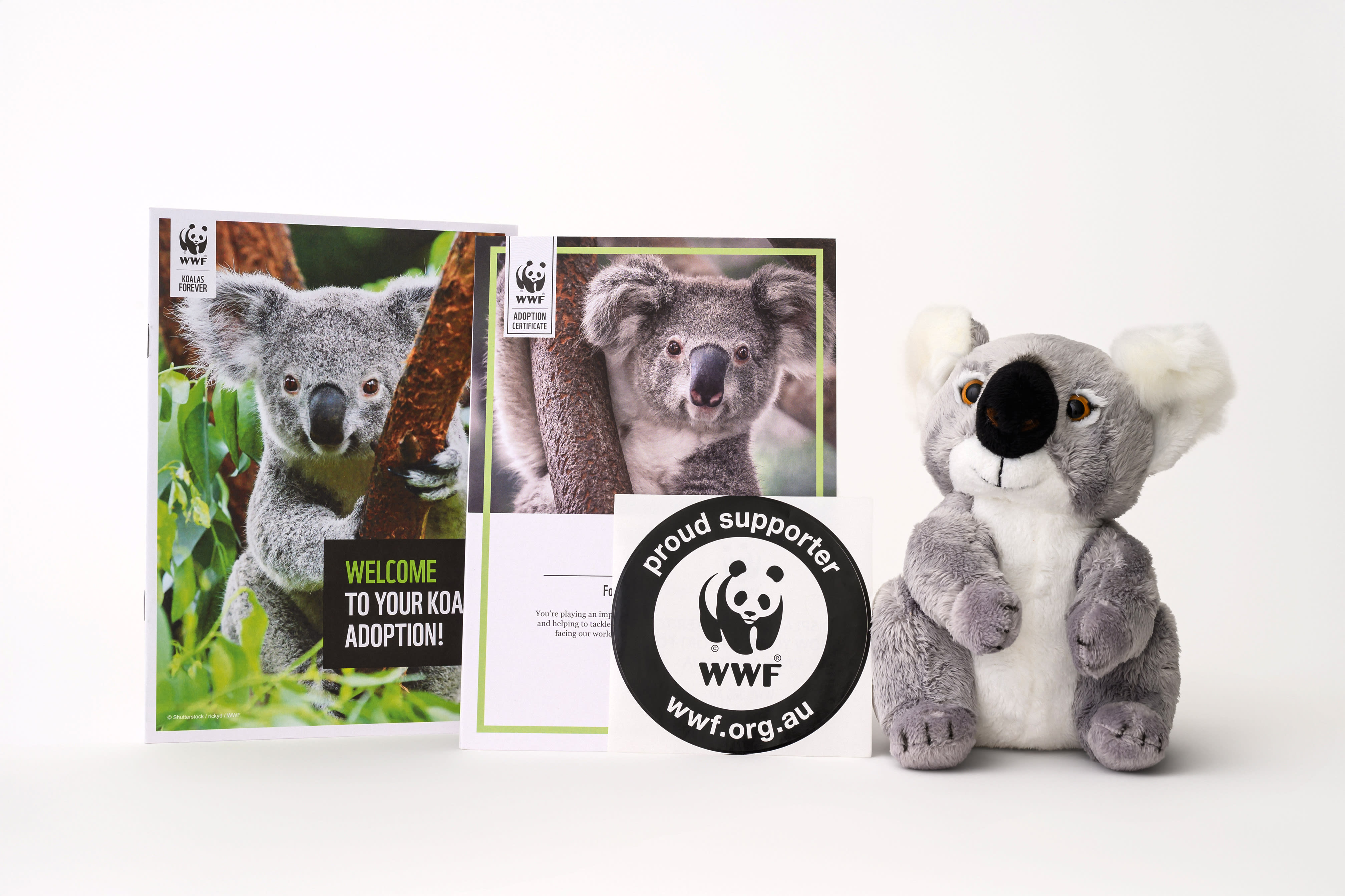 Adopt a koala pack shot