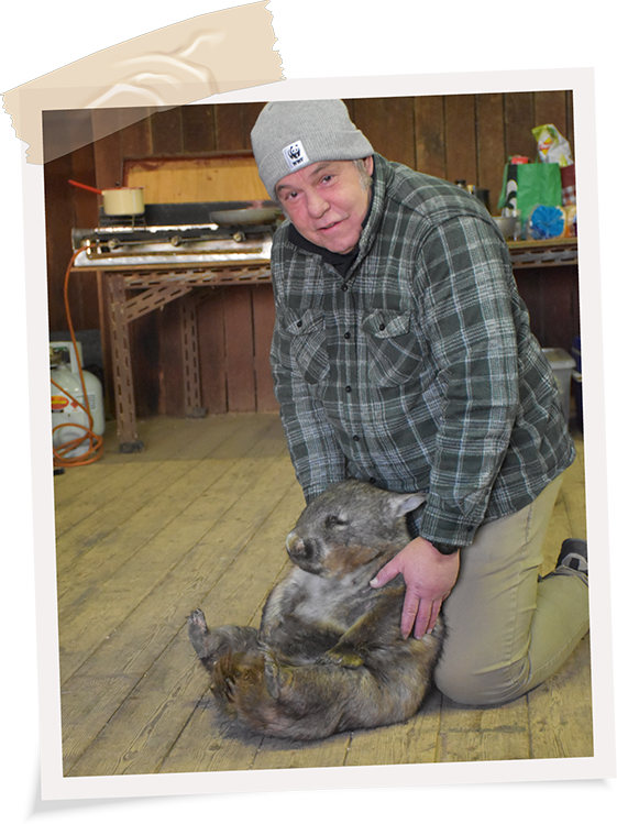 wombat_asset