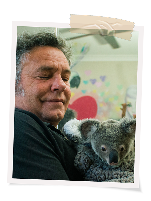 wombat_darren_asset