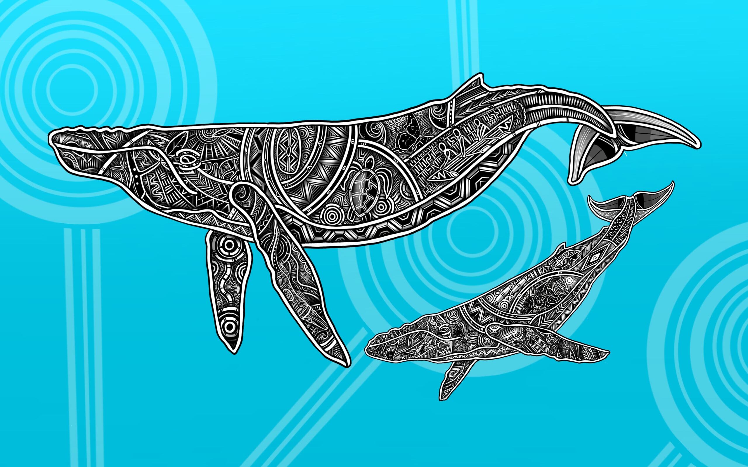 Indigenous humpback whale art (mother and calf) from Jirrbal, Wagedoegam, Ngapuhi & Scottish artist Beau Pennefather-Motlop.