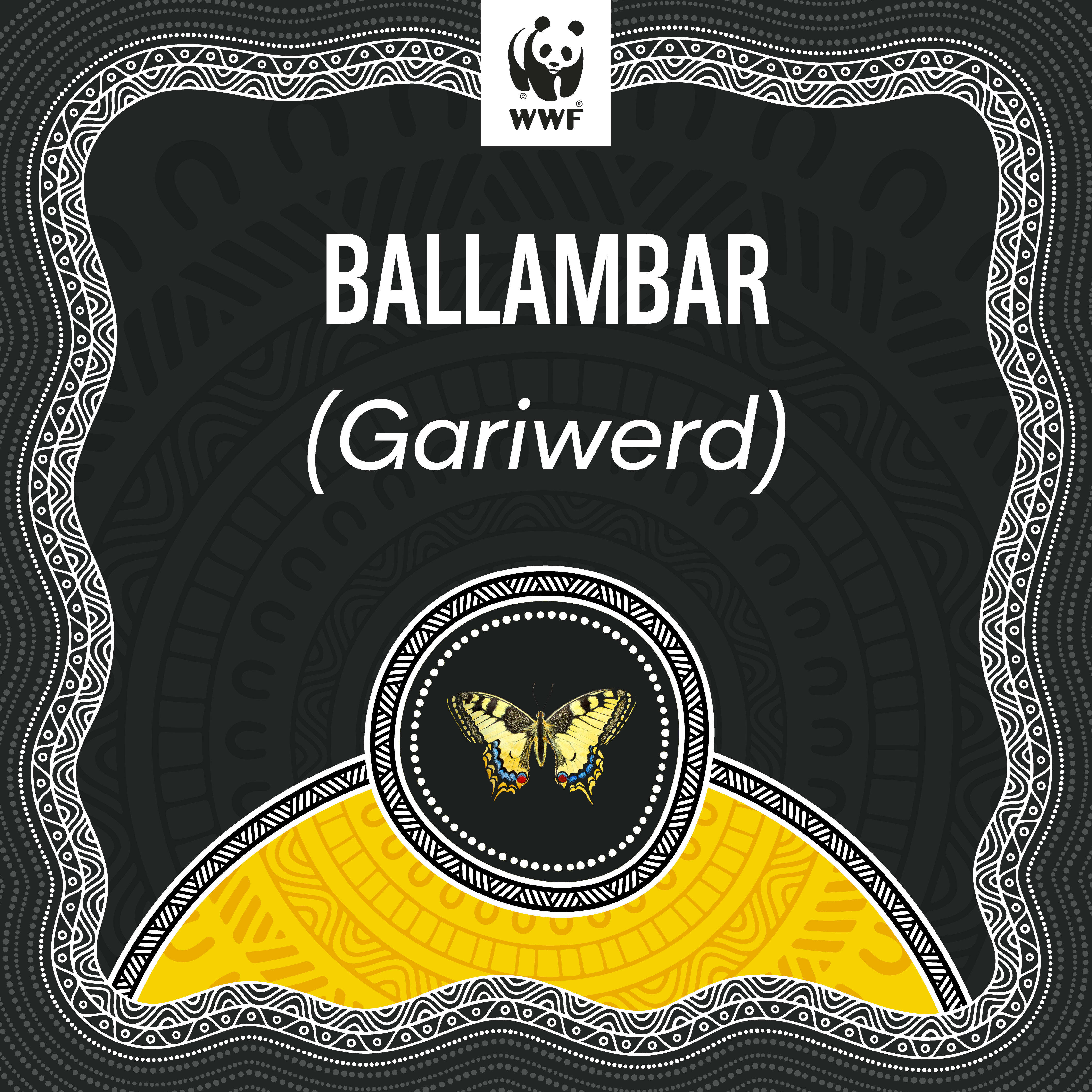 img-WWF-Template-Ballambar-1080x1080