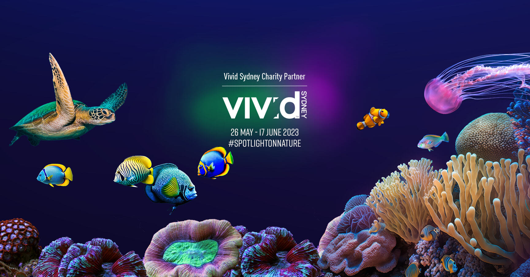 img-vivid-banner (please edit this one)