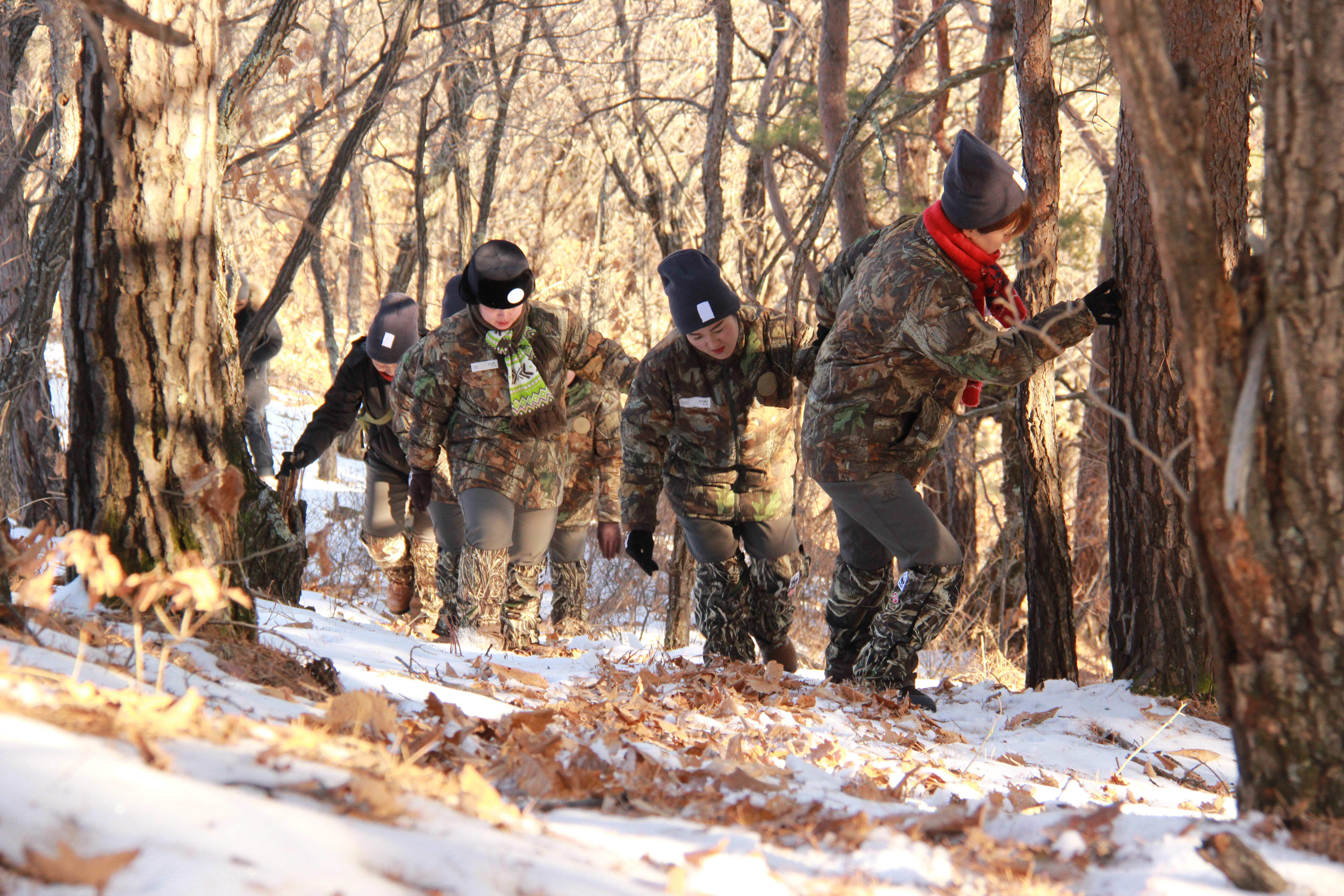 Img > Dongning Forestry Bureau