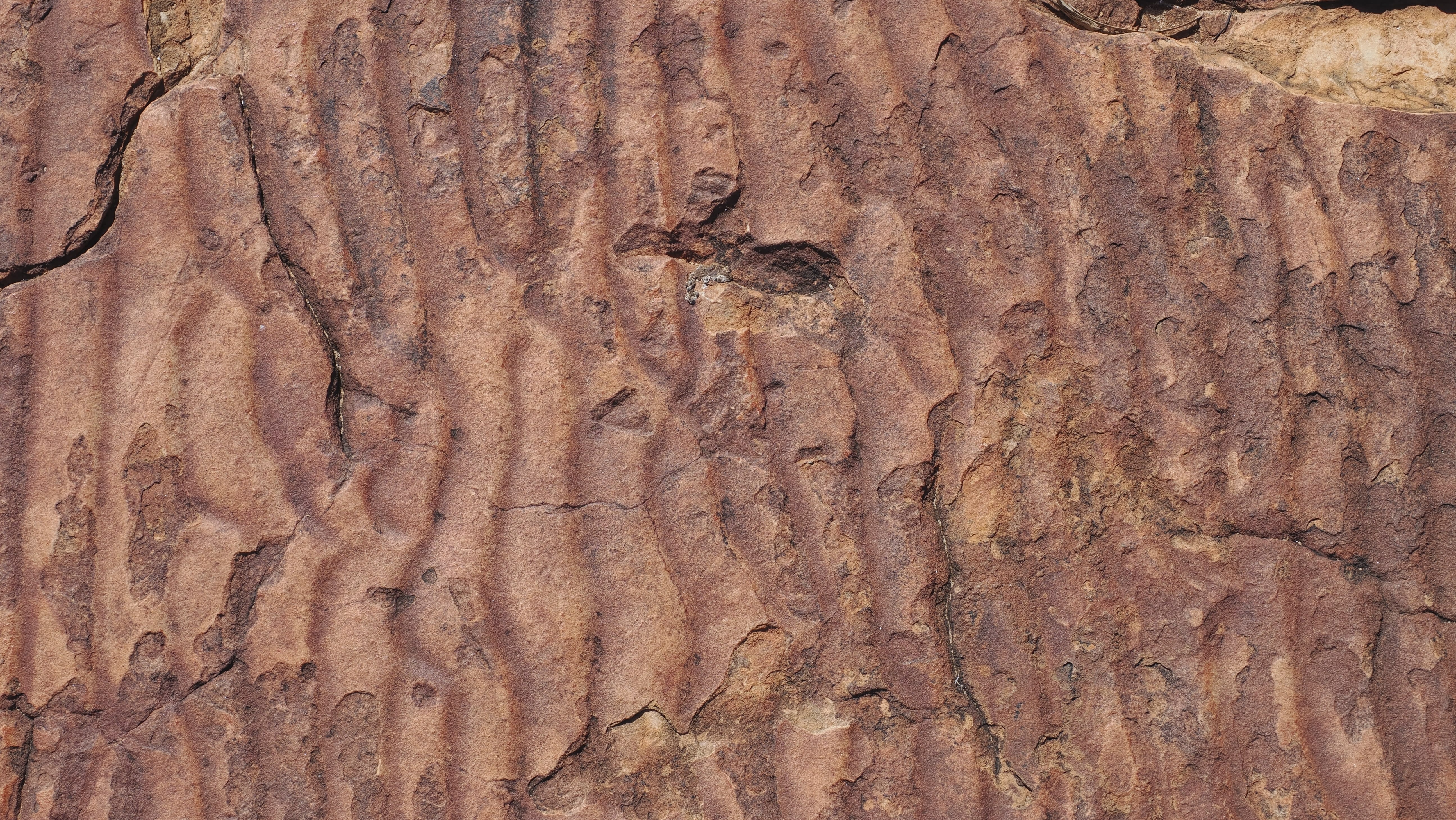 img_Brendens_blog_Larapinta_Watarrka2