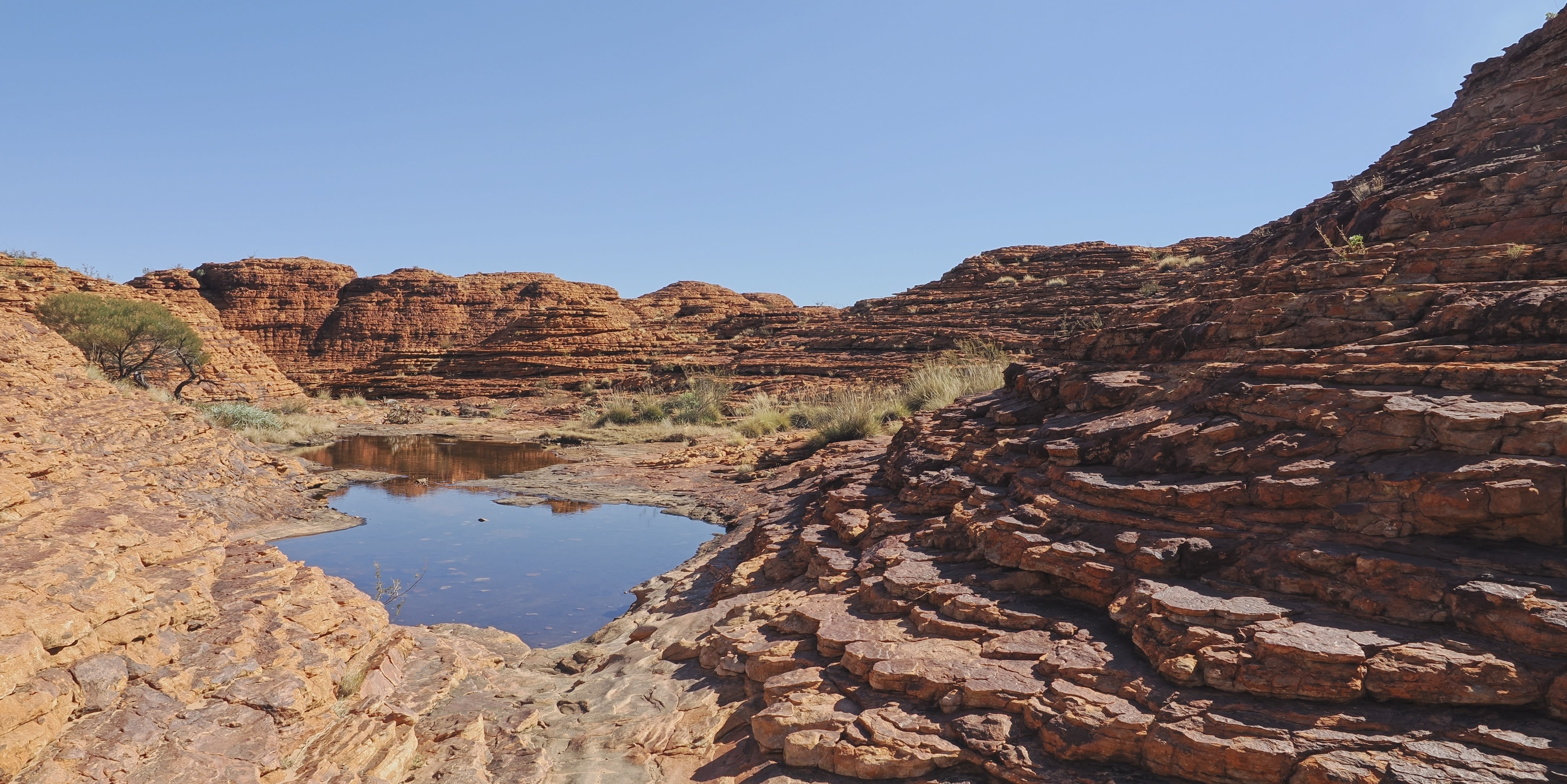img_Brendens_blog_Larapinta_Watarrka