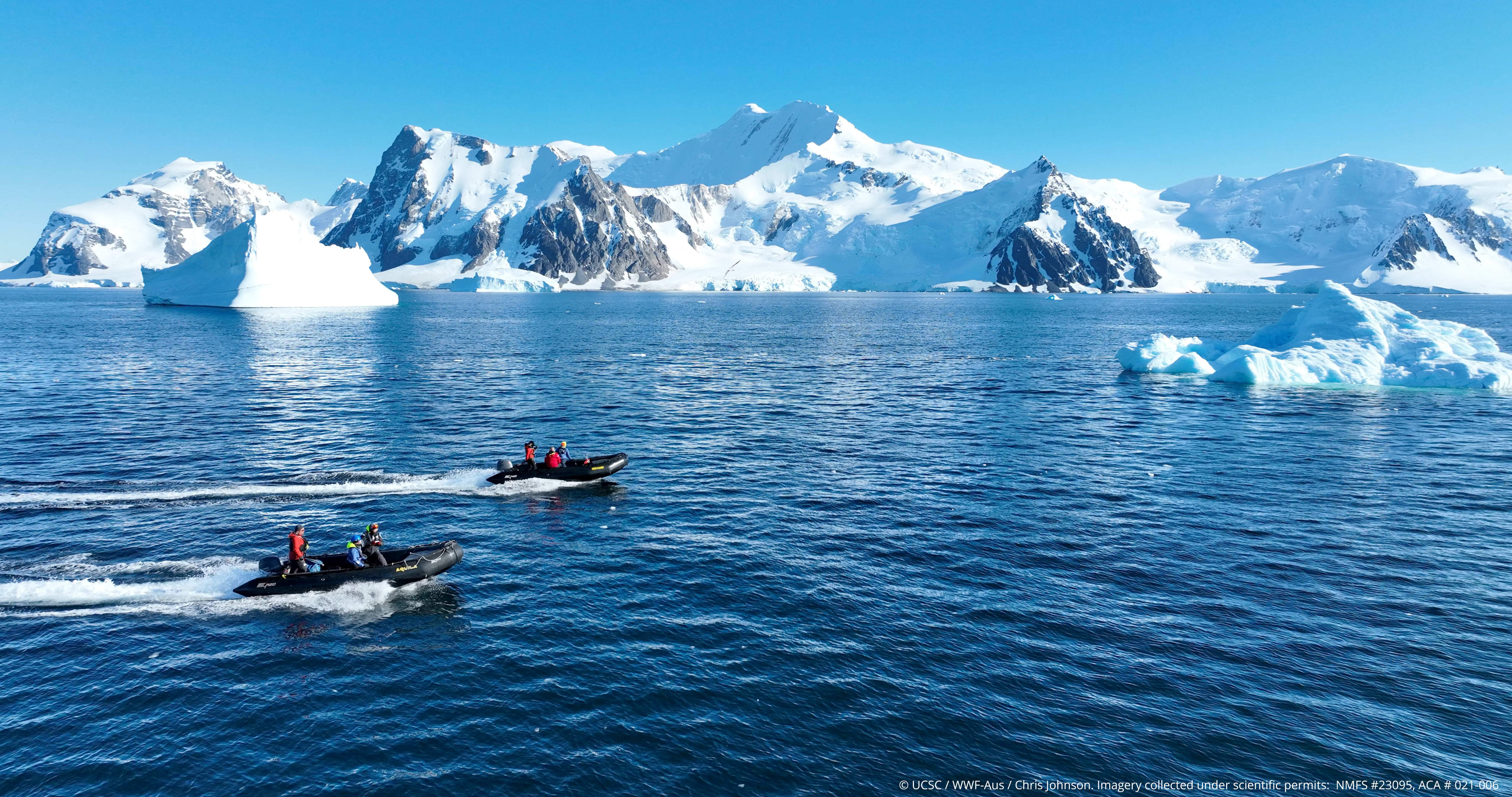 The team uses small Zodiac boats deployed from a ship to search for and study whales in one of the most spectacular and remote regions on earth.