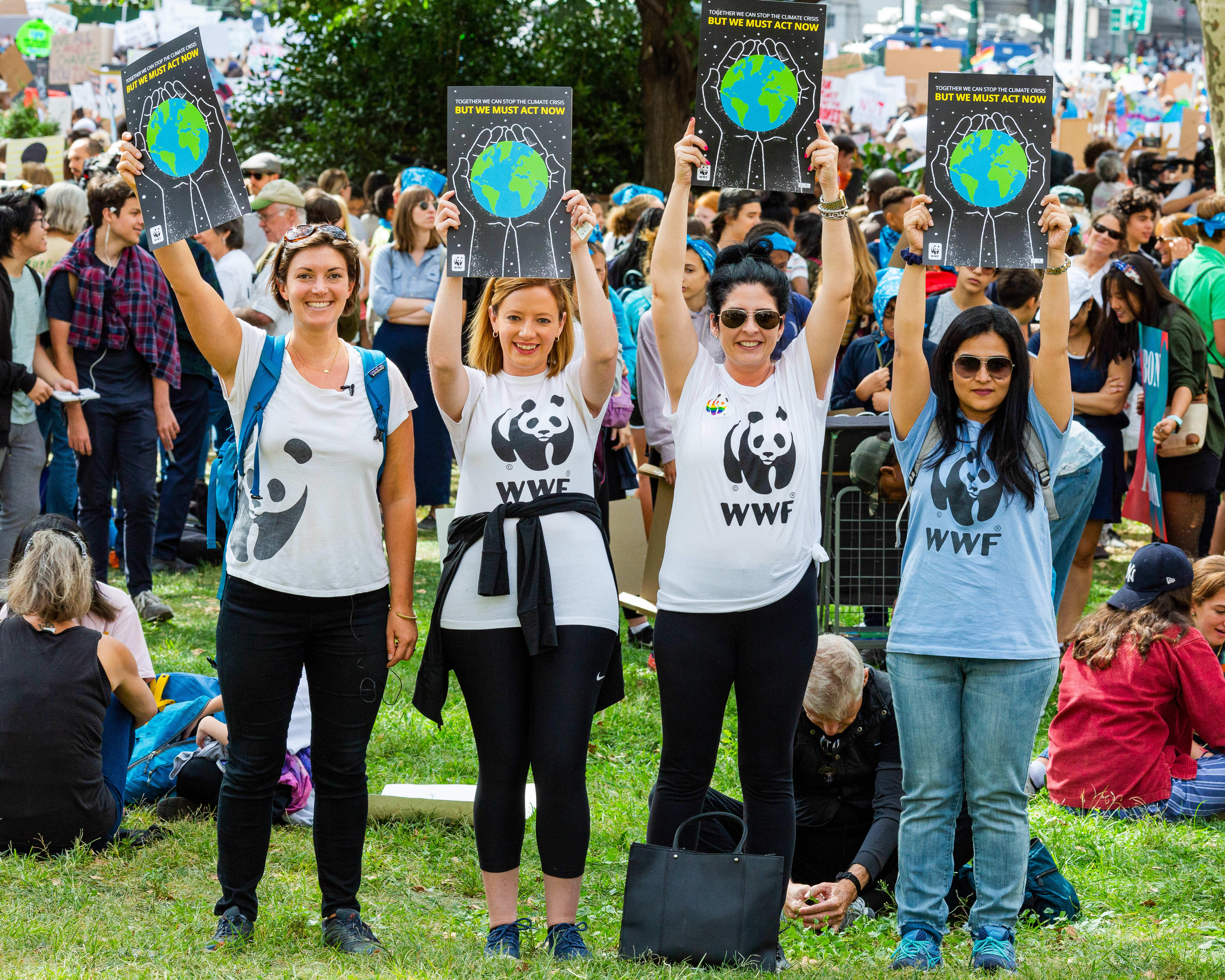 Four women holding signs at Climate March 2019 in New York, New York.