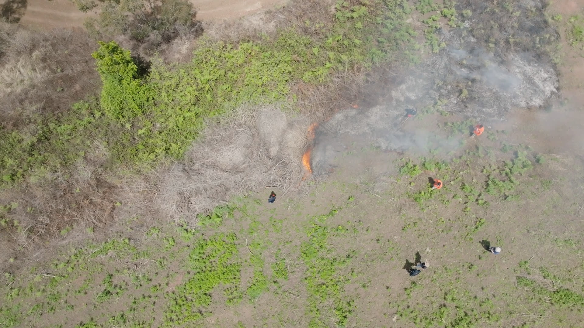 Aerial View of Cultural Burn Patterns