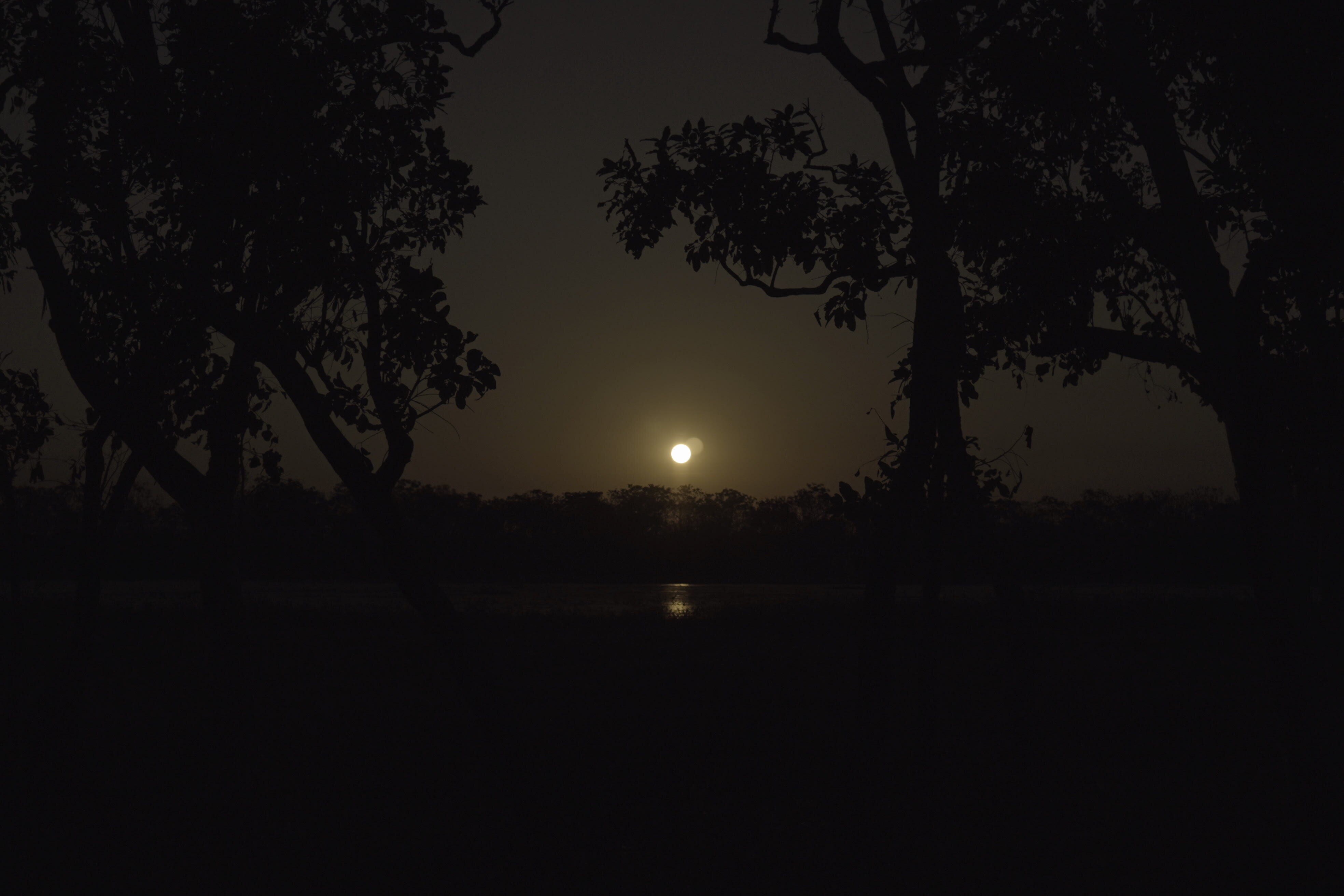Twilight at the 2023 Strong Women for Healthy Country Forum