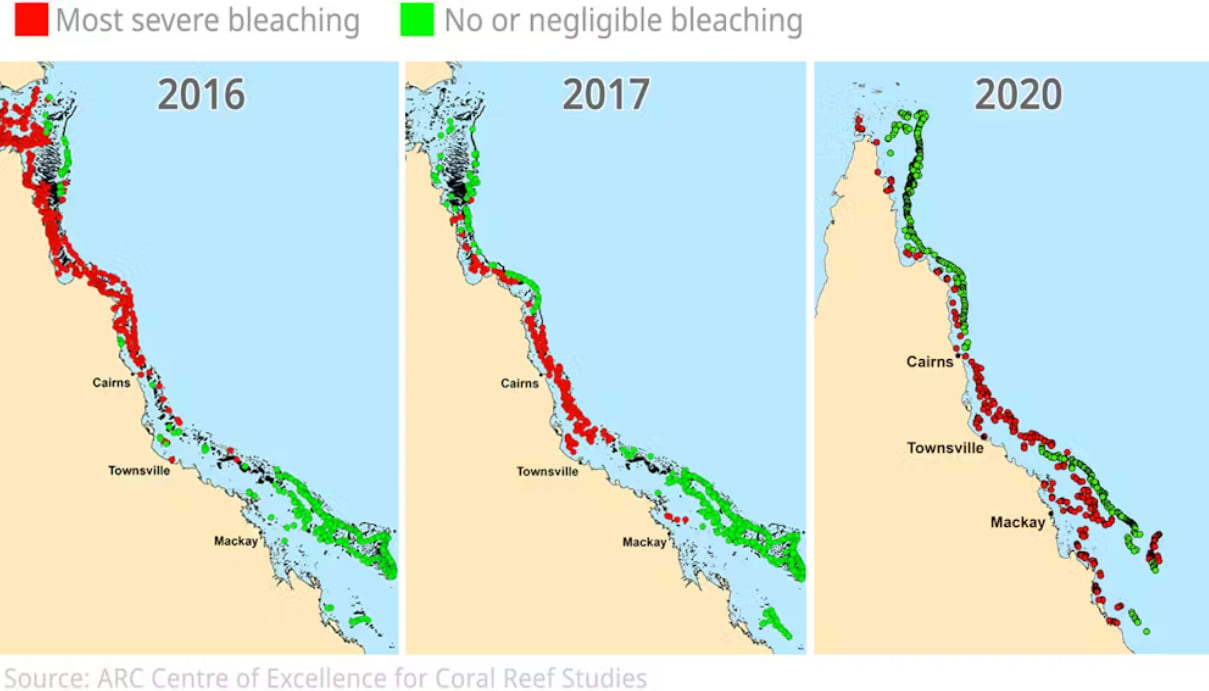 Previous bleaching events