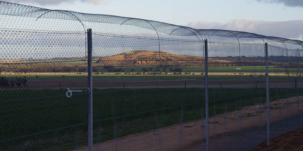 Nangeen Hill fence