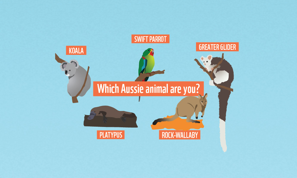 Which Aussie animal are you?