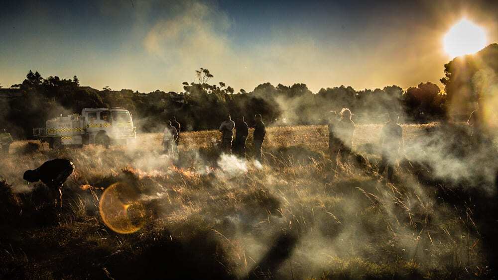 Ardrossan grasslands burn site