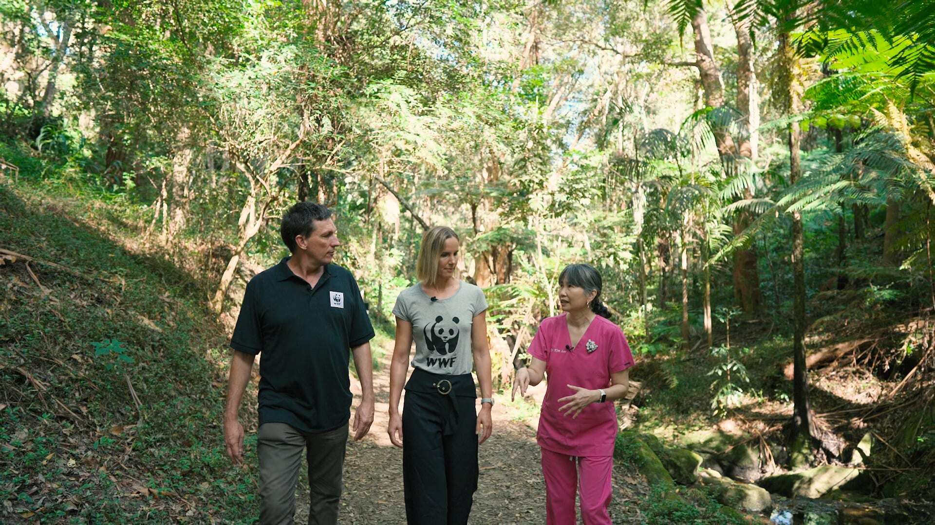 WWF-Australia partner and Olympic Gold Medalist Bronte Campbell chats to Dr Kim Loo from Doctors for the Environment Australia (DEA) and Dr Stuart Blanch from WWF-Australia among the trees in Cooper Park, Bellevue Hill. In this episode of Chats for Change we're setting out to answer the question; Can Trees Save Us?
