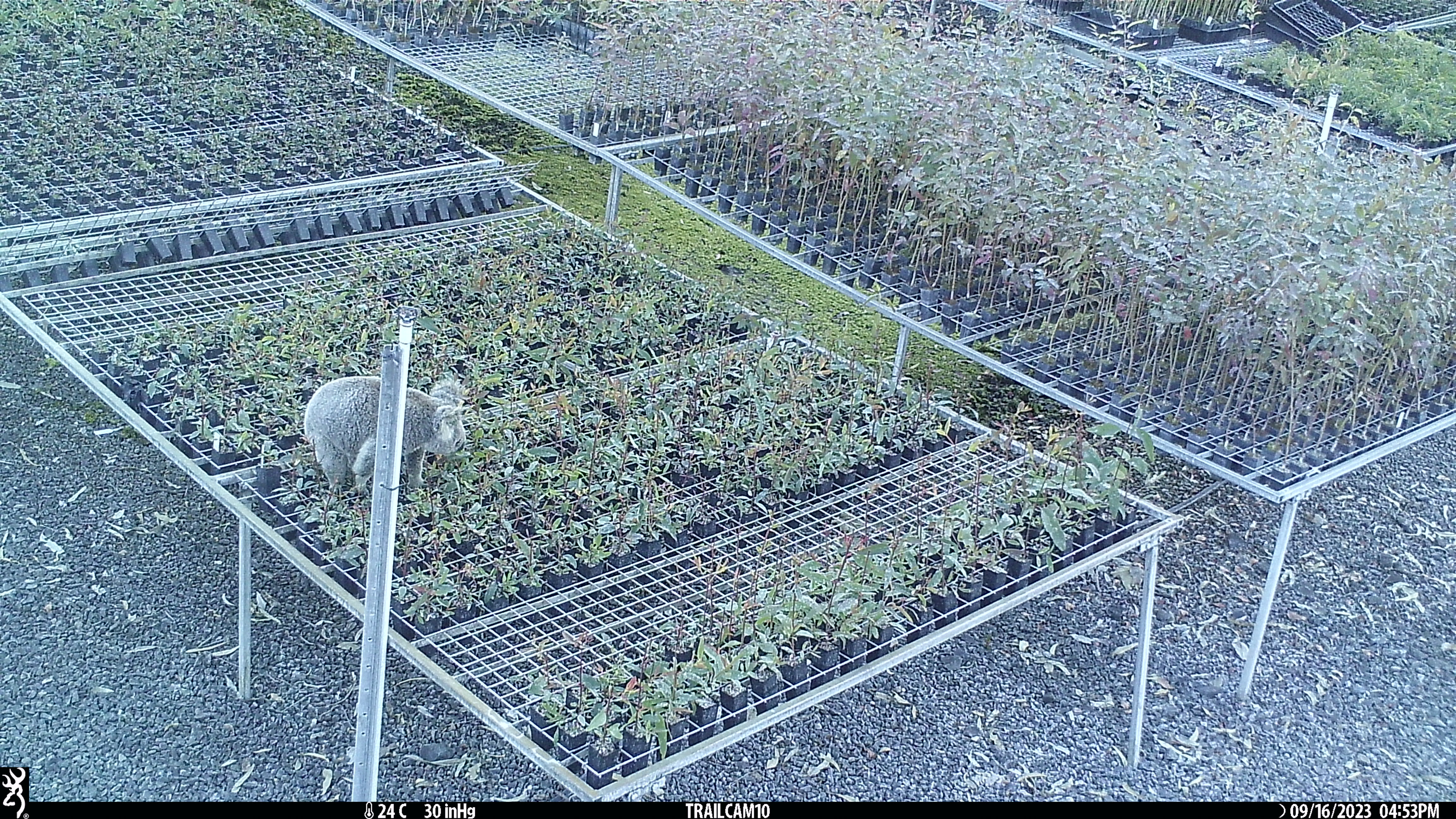 img-claude-sensor-camera