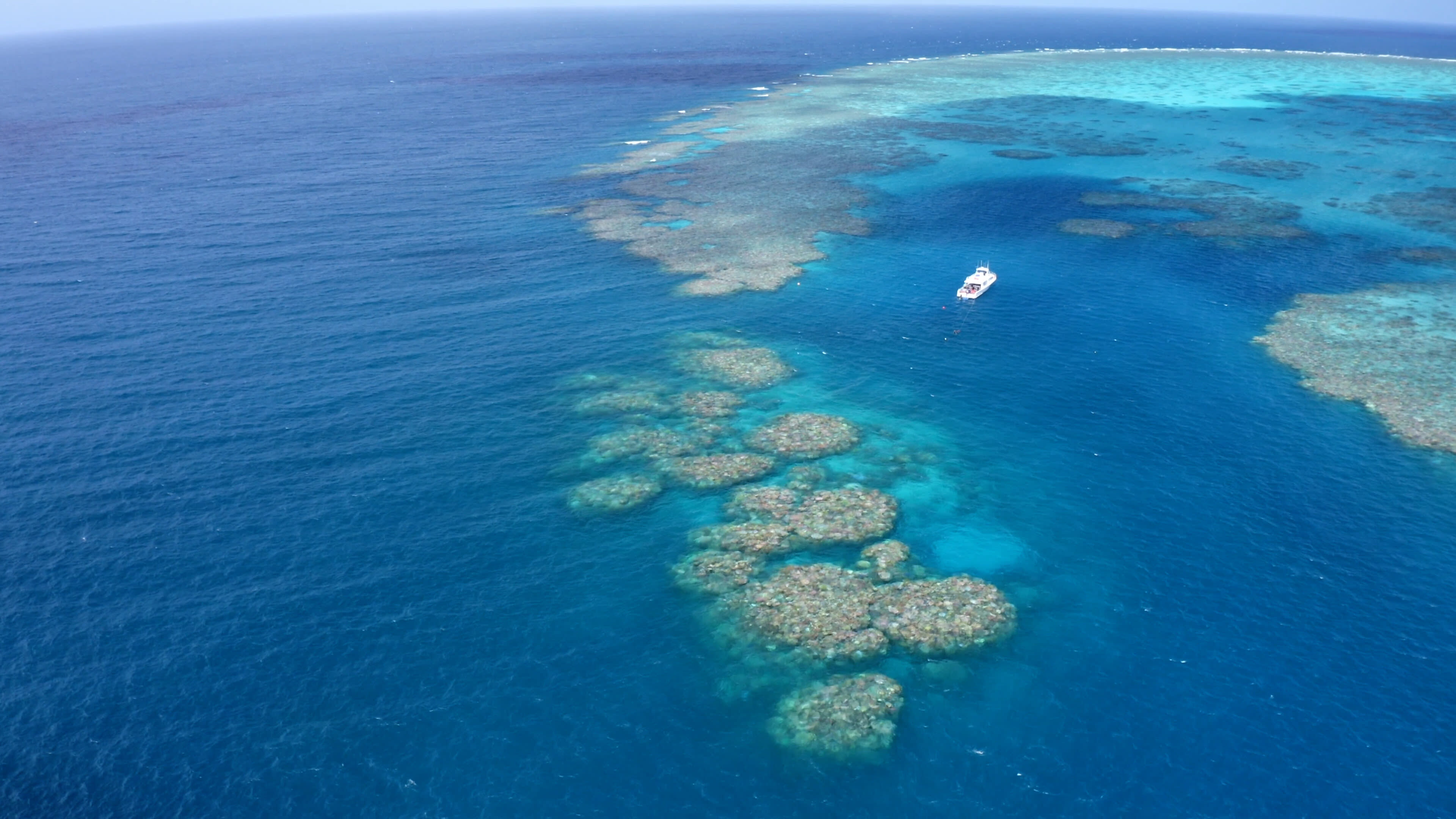 Coral bleaching near Townsville, 20 March, 2022