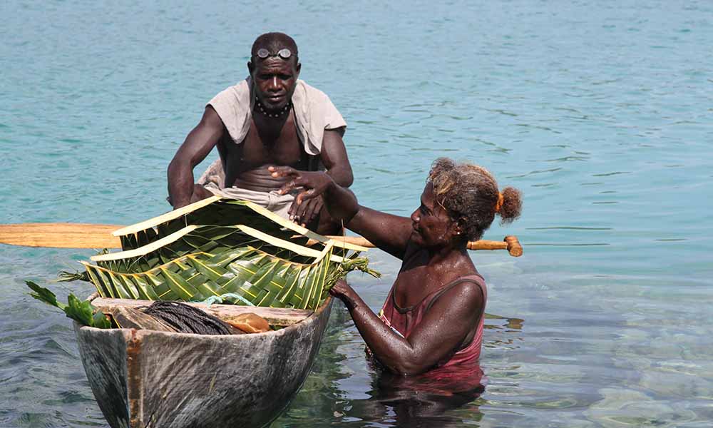 Harvesting sea grapes at Saeraghi on Ghizo Island= Solomon Islands - June 2017