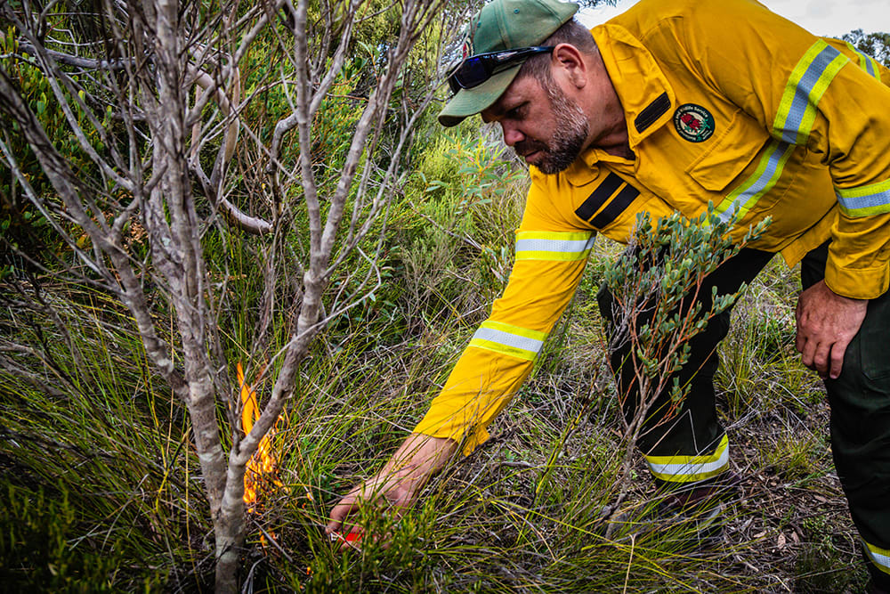 Dhilba Guuranda-Innes National Park Ranger and Narungga, Nukunu man Dion Bromley starts a cultural burn