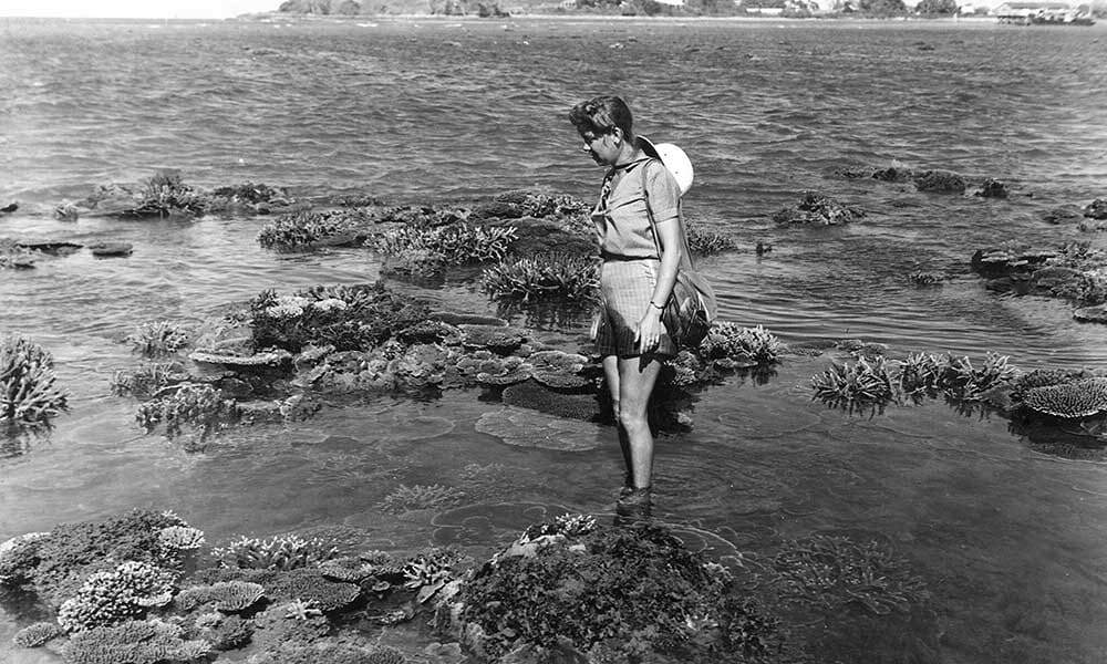 img-dickson-inlet-port-douglas-early-1950s