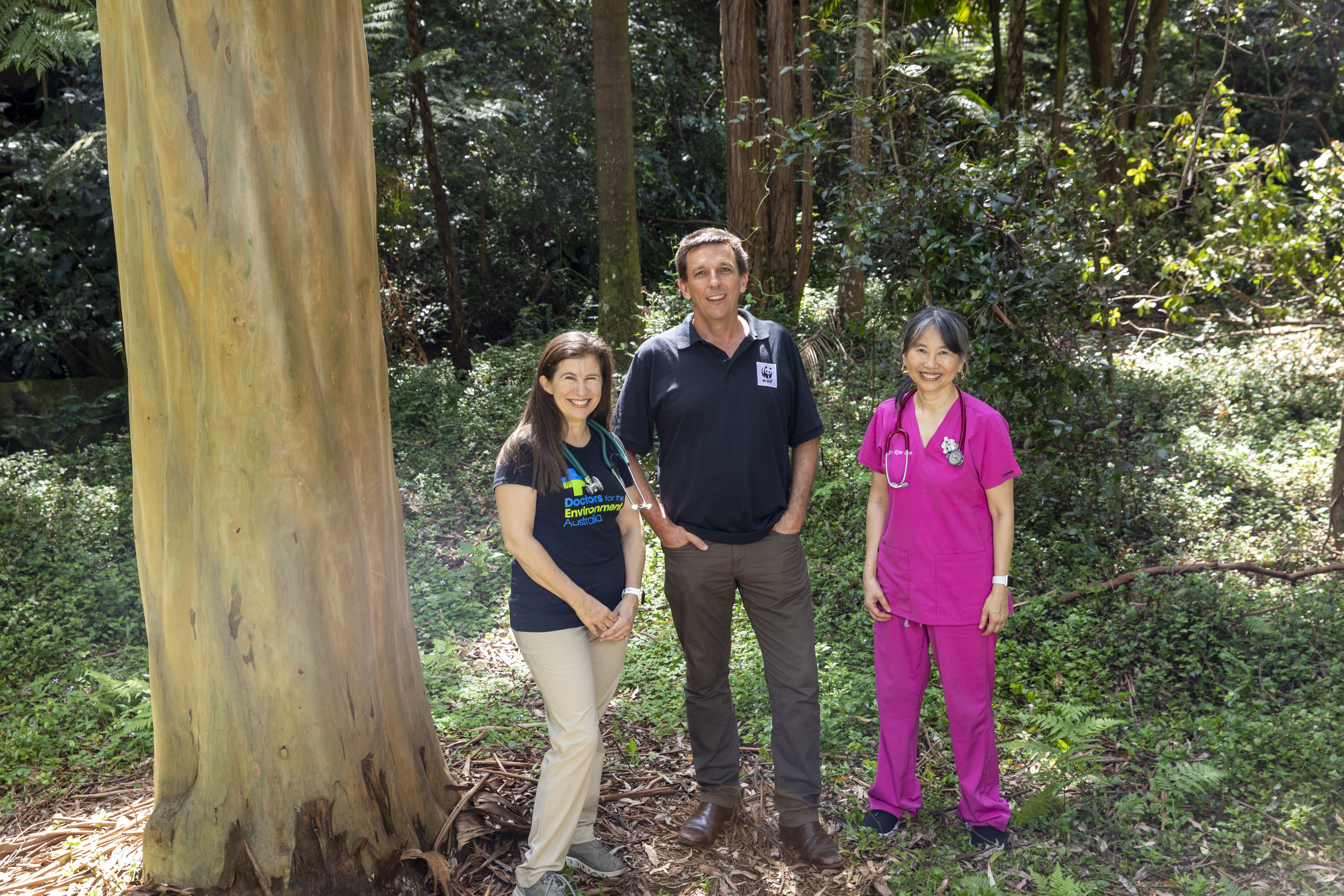 Dr Cybele Day (left) and Dr Kim Loo (right) from Doctors for the Environment Australia (DEA) with Dr Stuart Blanch from WWF-Australia among the trees in Cooper Park, Bellevue Hill. DEA has joined forces with WWF to highlight the health benefits of trees.