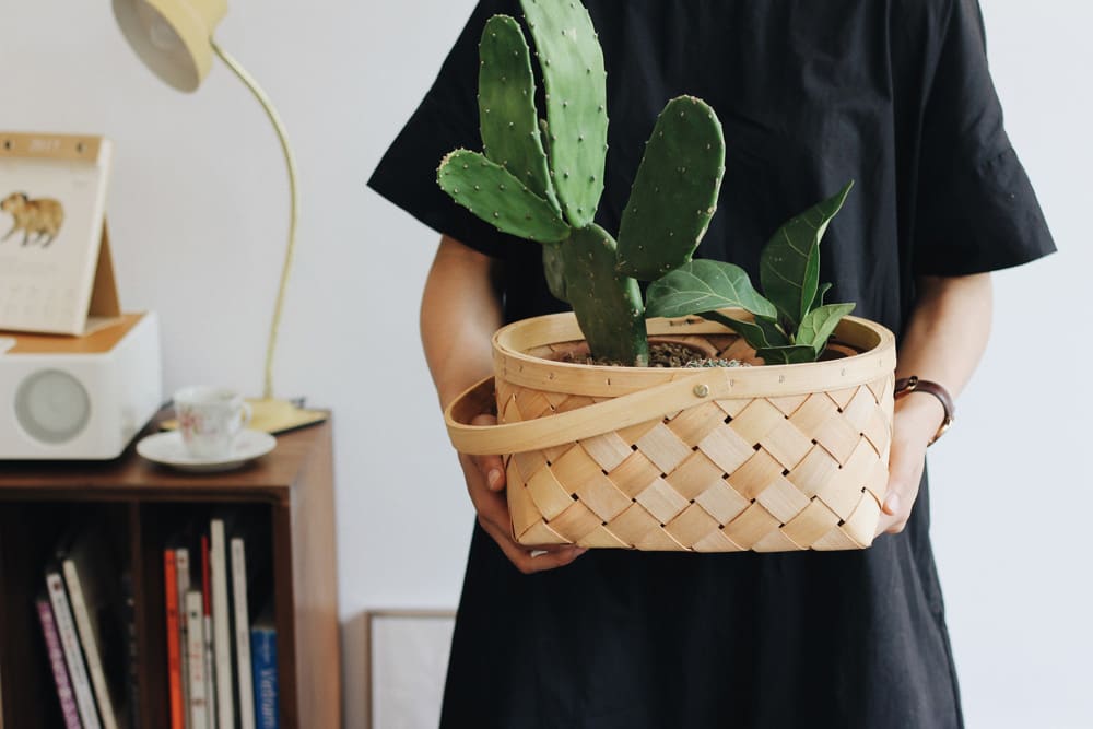 img-eco-goals-1000px
