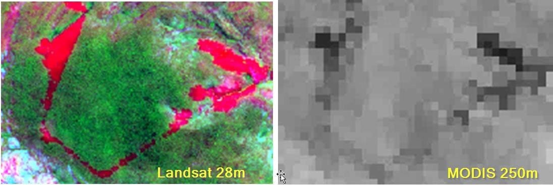 img-fire-management-satellite-images
