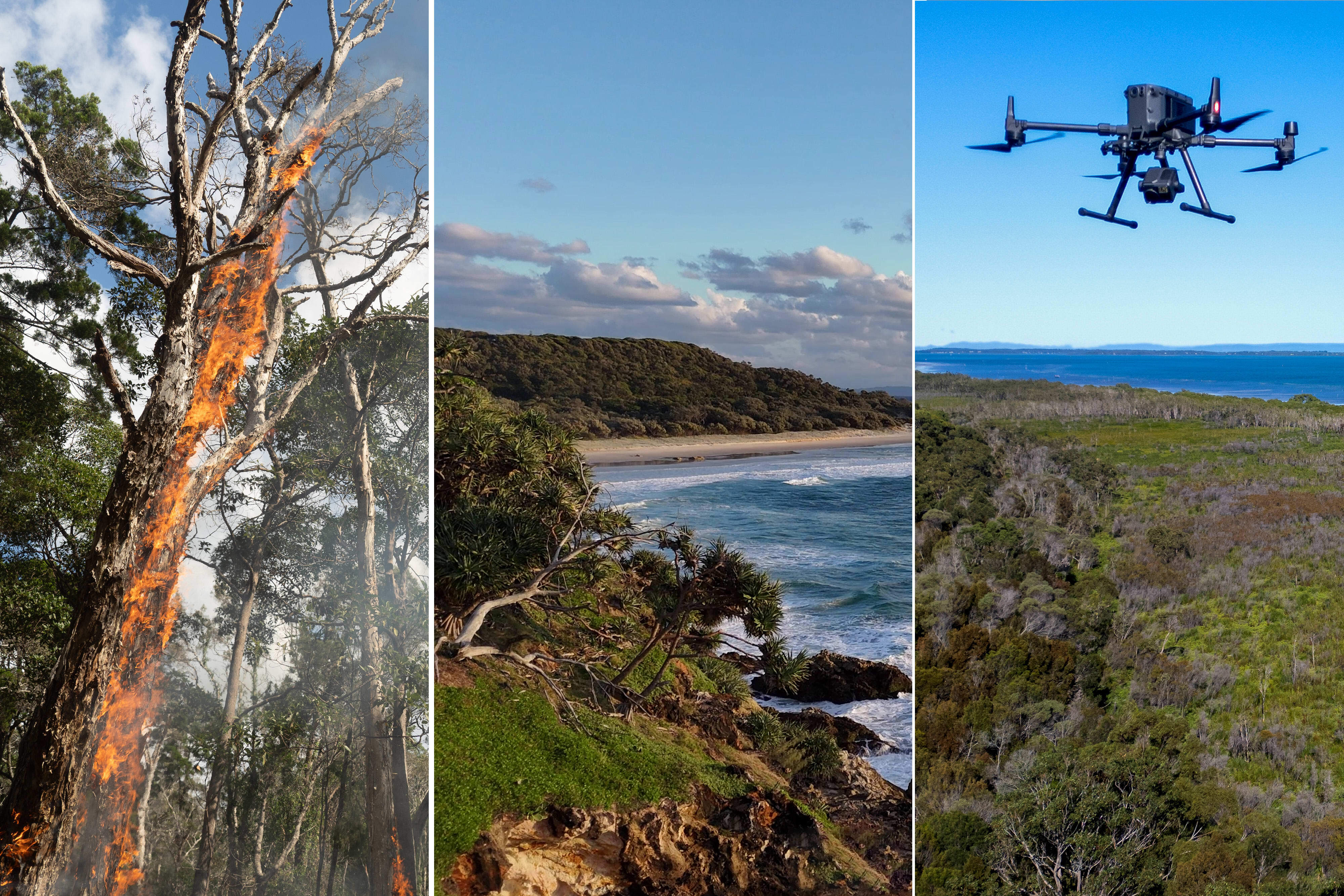 L-R: Cultural burn on Minjerribah (North Stradbroke Island), Point Lookout on Minjerribah (North Stradbroke Island), and WWF-Stradbroke Island 2024.Surveying of Koalas, by Hi tech thermal imaging drone.