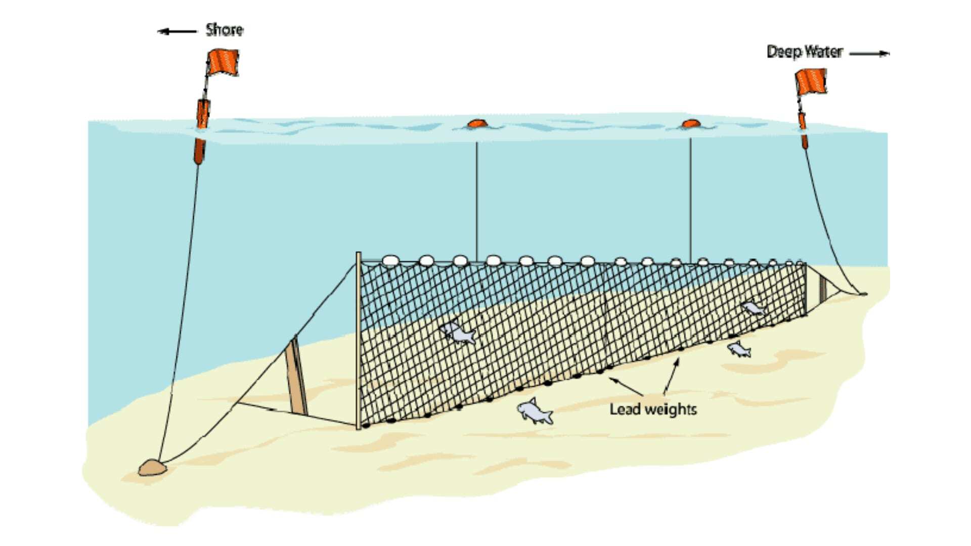 img-gill-net-infographic