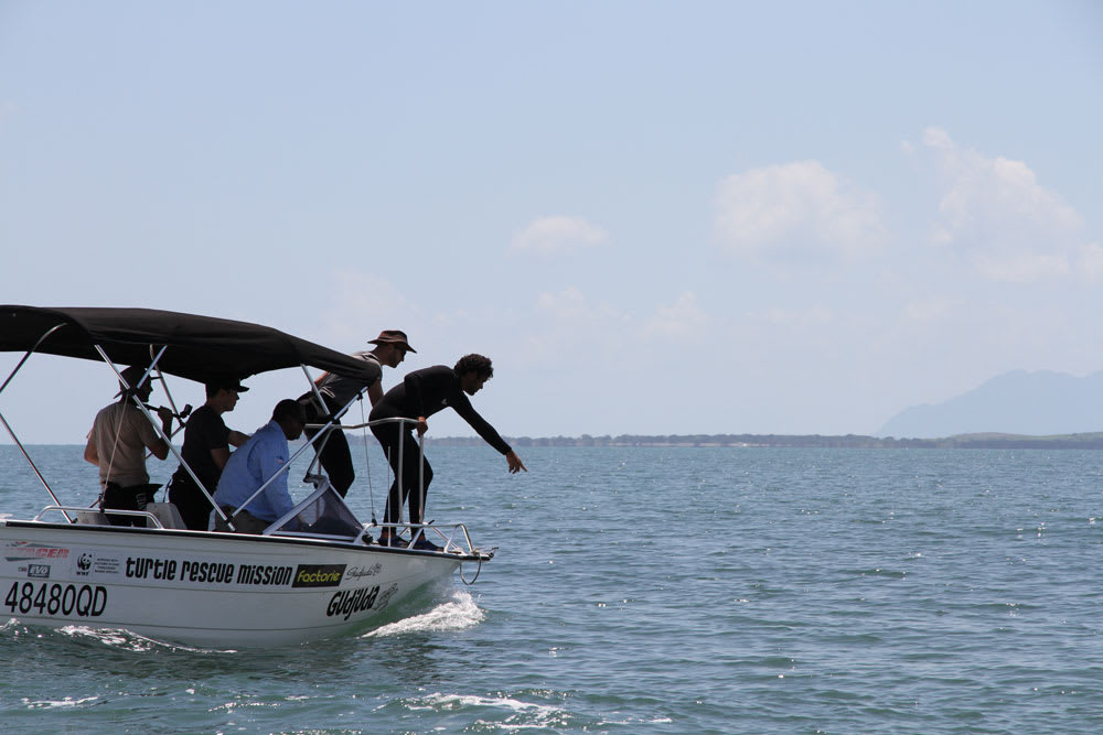 Gudjuda Rangers spotting green sea turtles in Bowen, Queensland