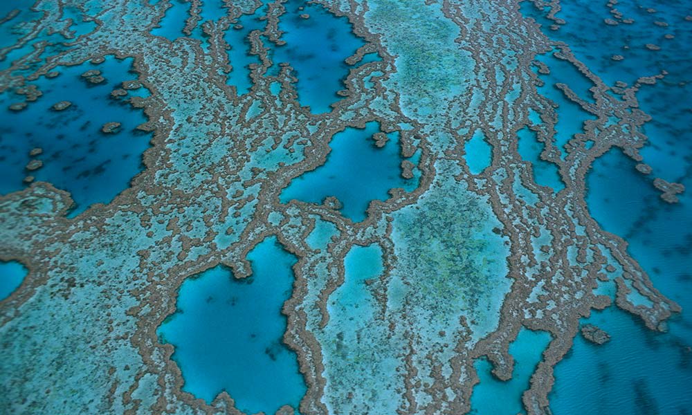 Hardy Reef= aerial view. Great Barrier Reef