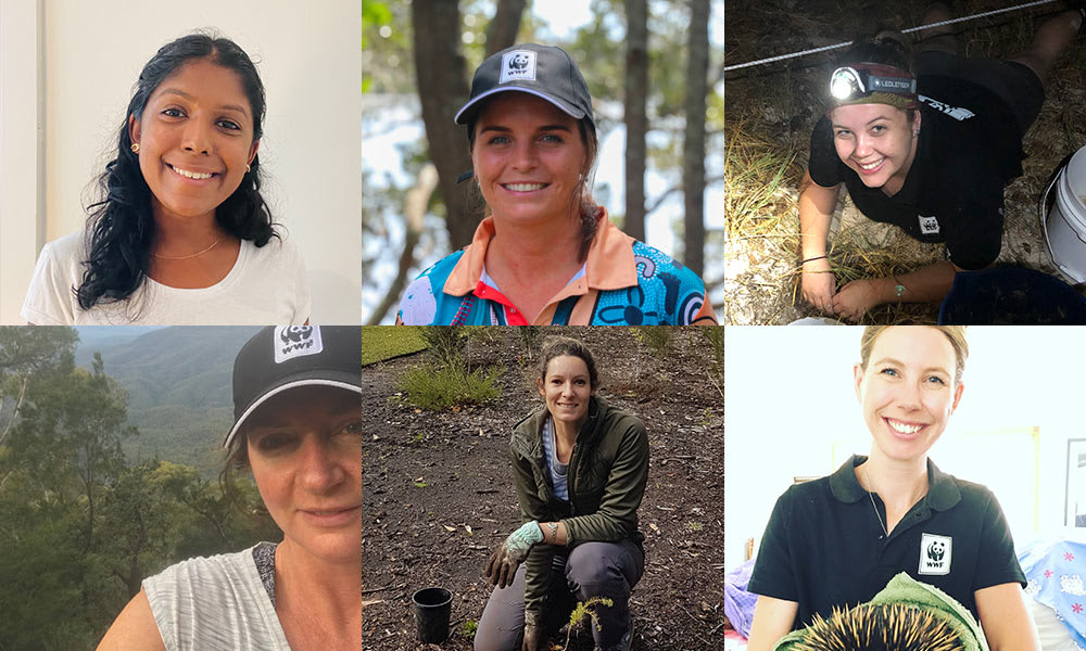 Women of WWF-Australia