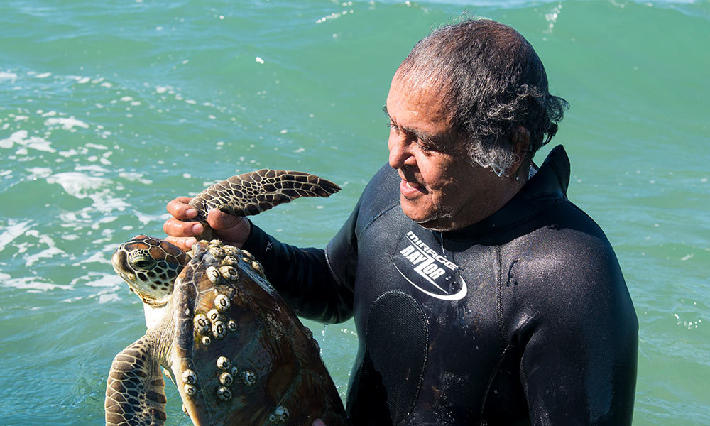 Jim Gaston= Birri Gubba Juru Elder= turtle tagging= Bowen= North Queensland