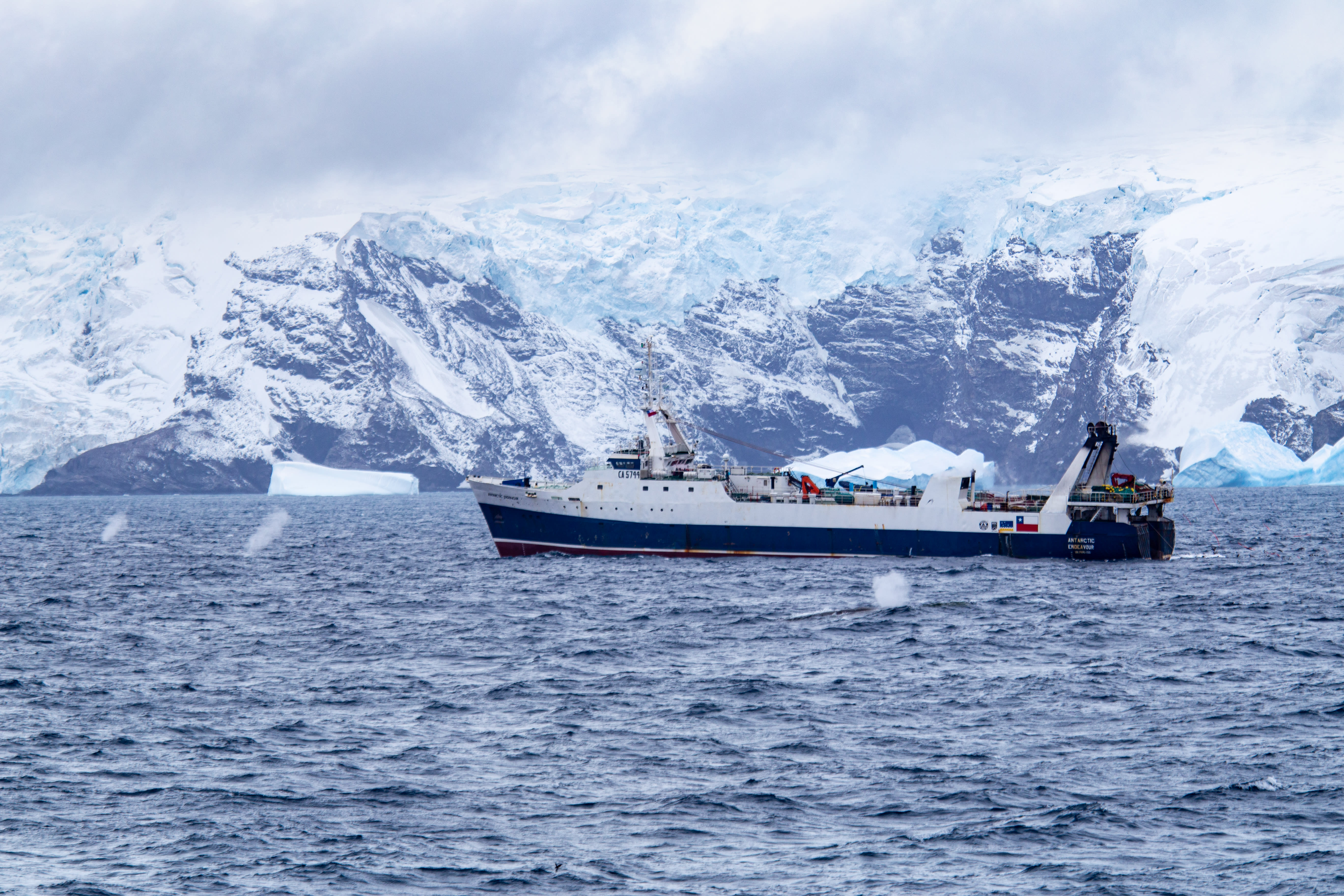 img_antarctic_krill_fishing