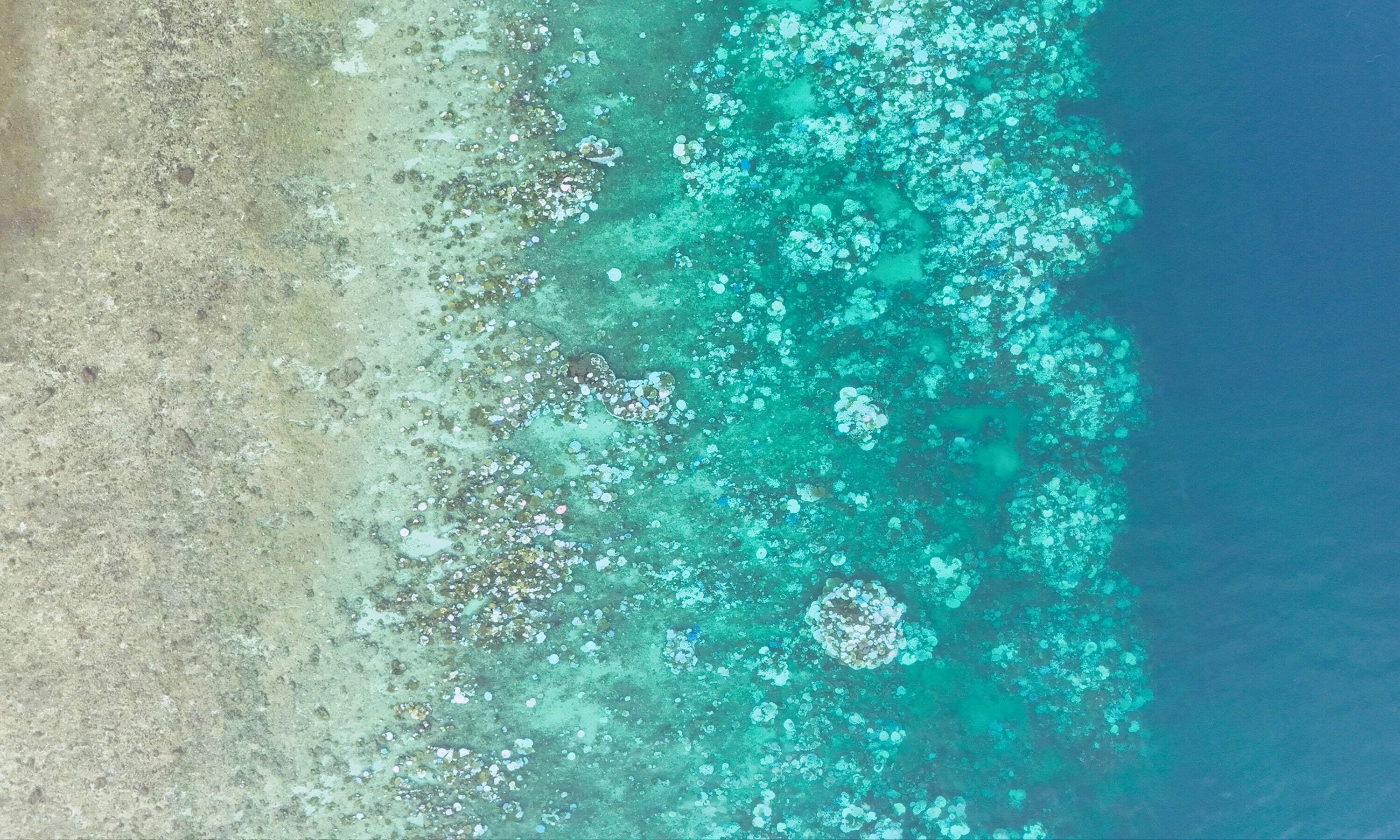 img-lizard-island-after