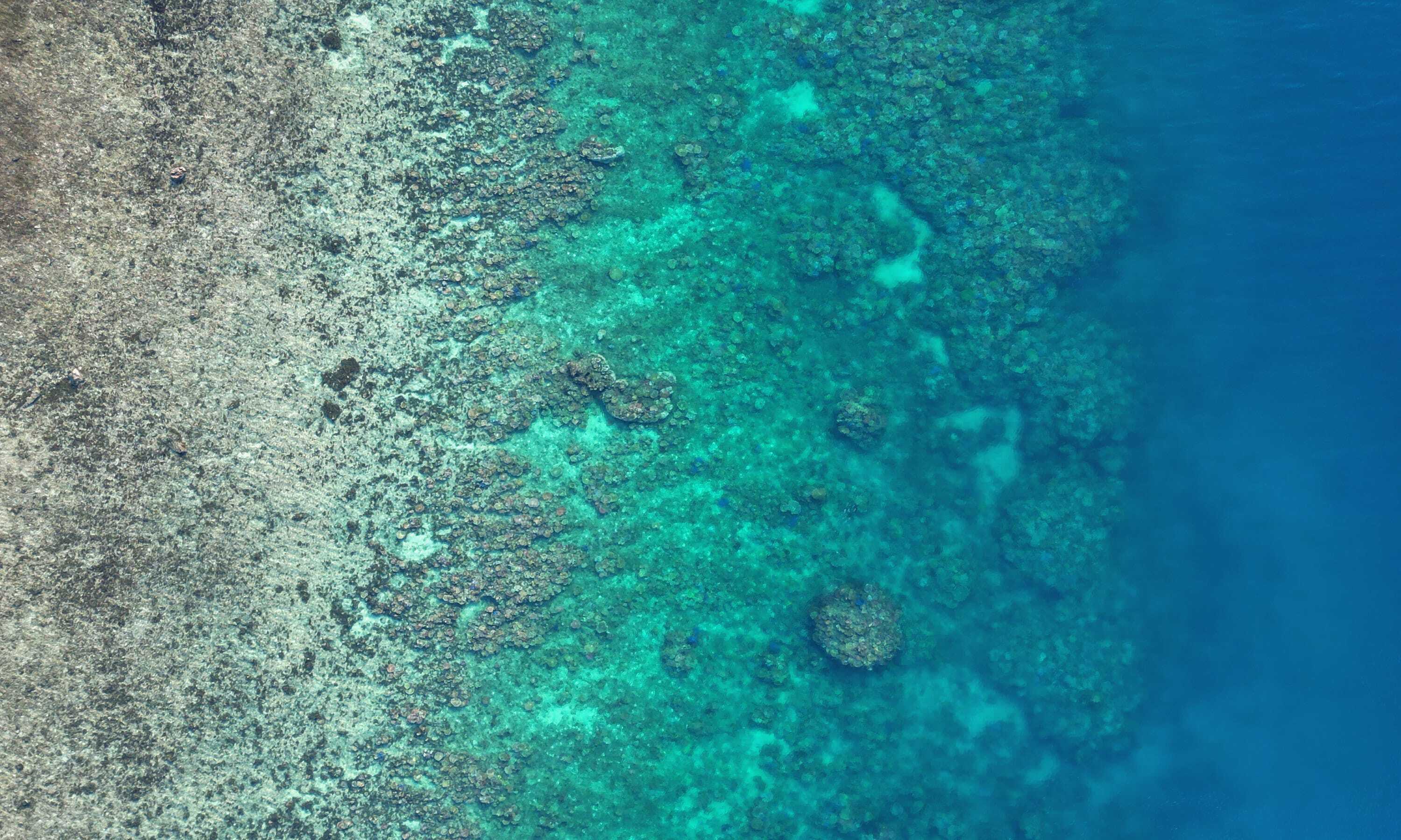 img-lizard-island-before