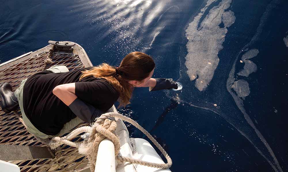 Dr. Gilly Llewellyn= Australian Conservation Director WWF collects samples of water affected by Montara oil rig leak