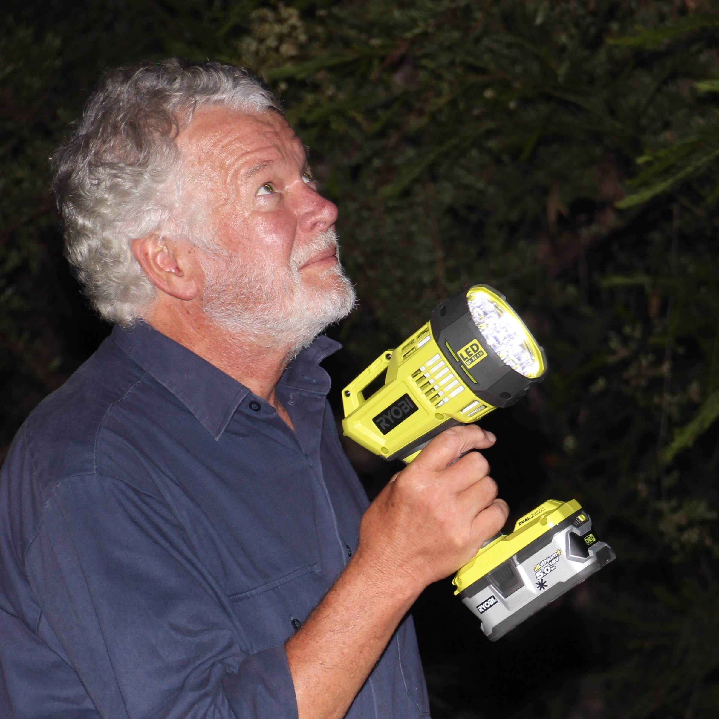 img-peter-smith-glider-survey
