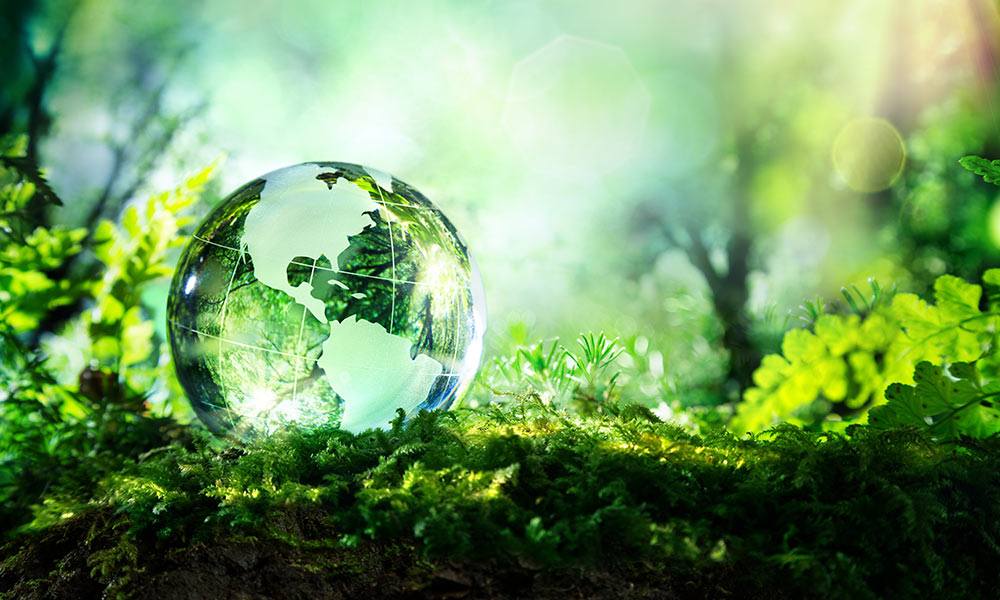 Crystal globe resting on moss in a forest