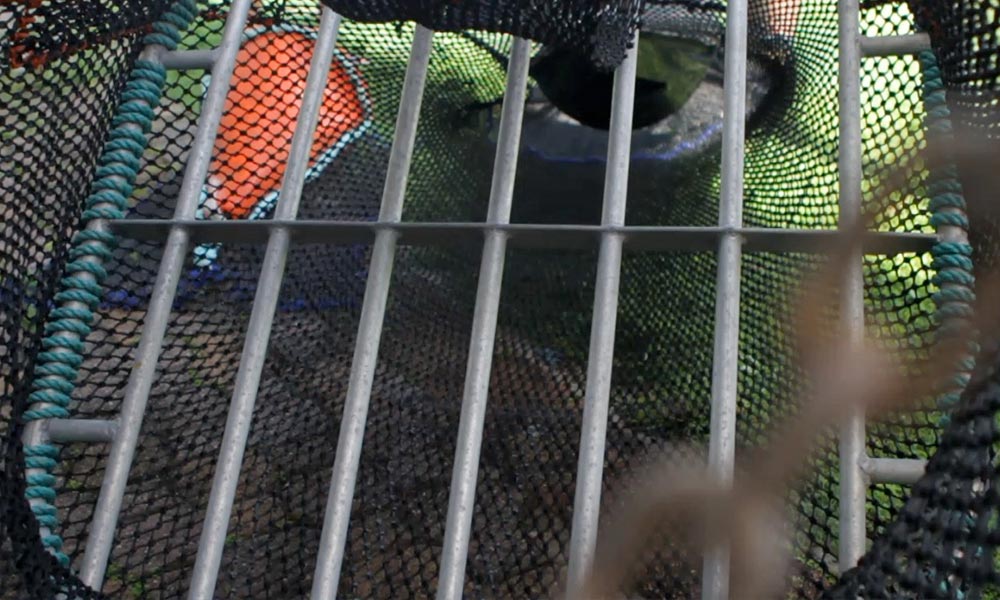 Close up of prawn fishing net from Neville the netmaker