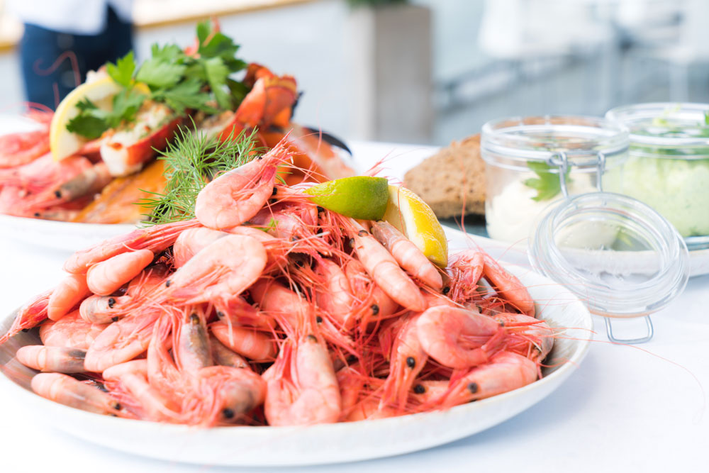How to choose sustainable seafood / CC0 / Terje Sollie / Pexels