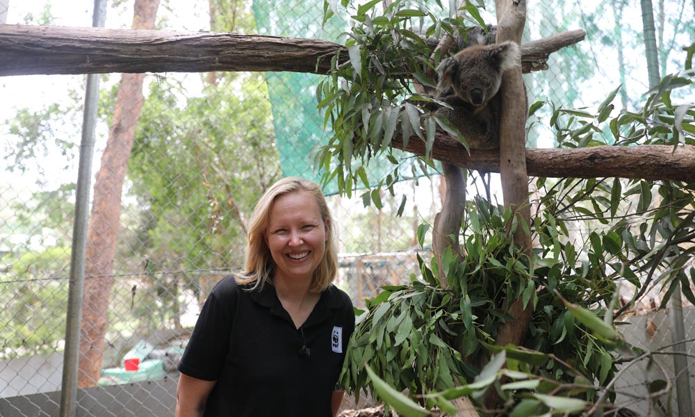 Rachel Lowry= Chief Conservation Officer of WWF-Australia with a koala at Friends of the Koala= Lismore