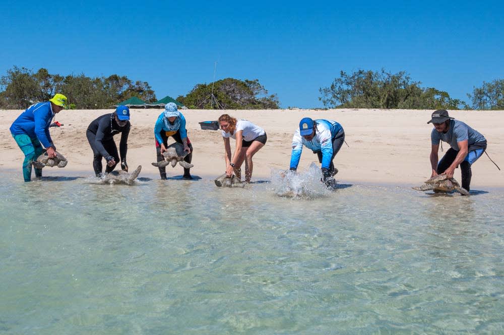img-rivers-to-reef-to-turtles-release-on-beach